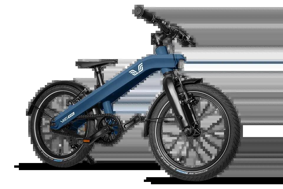 VICI BIKE picture