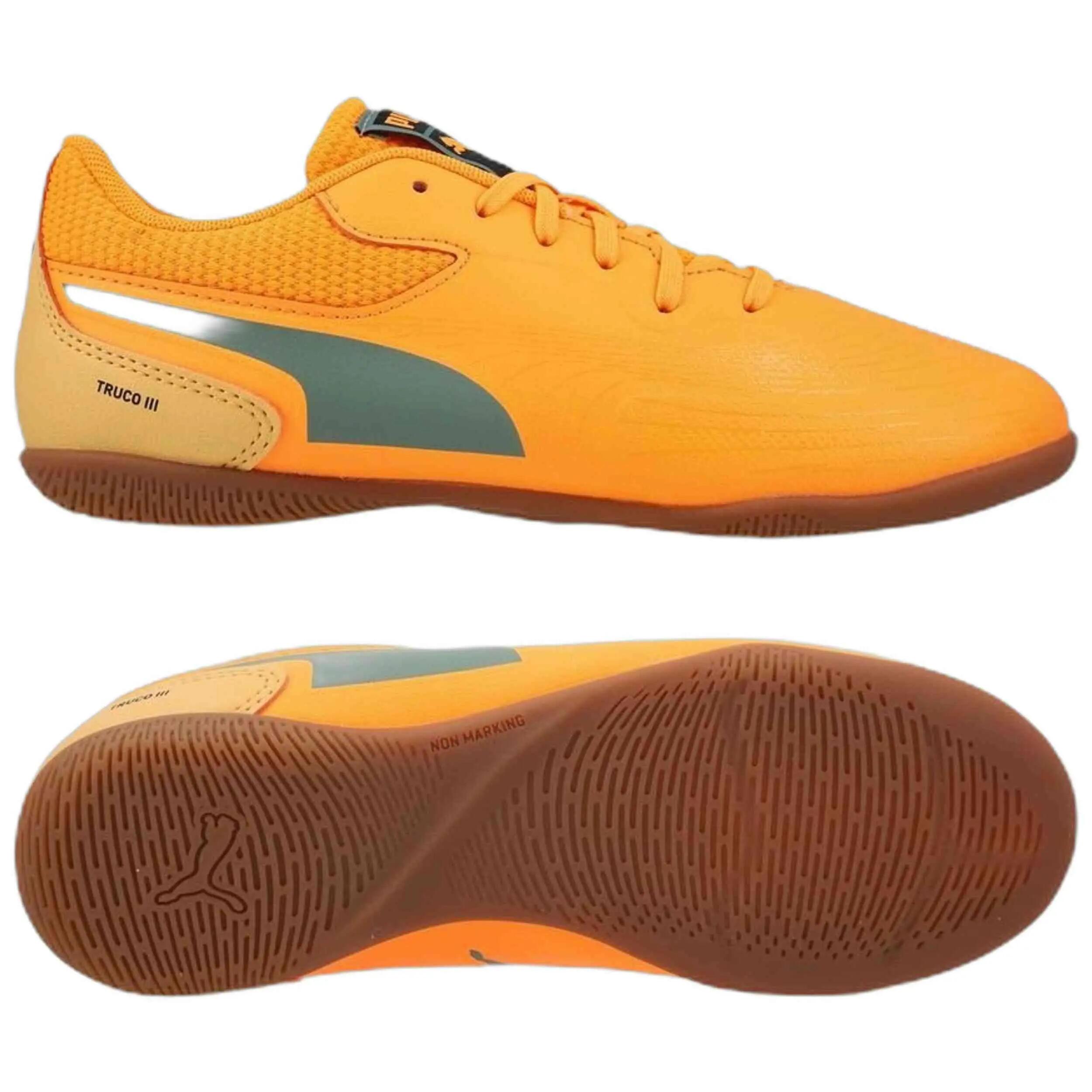 PUMA picture