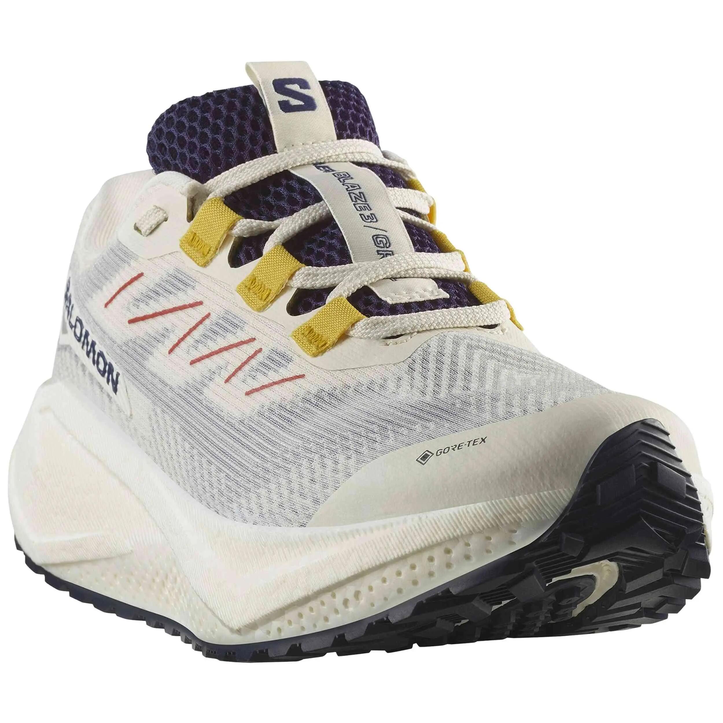 Turnschuhe Salomon Modell Zapatillas Salomon Aero Blaze 3 Grvl GORE-T für frauen 3/5