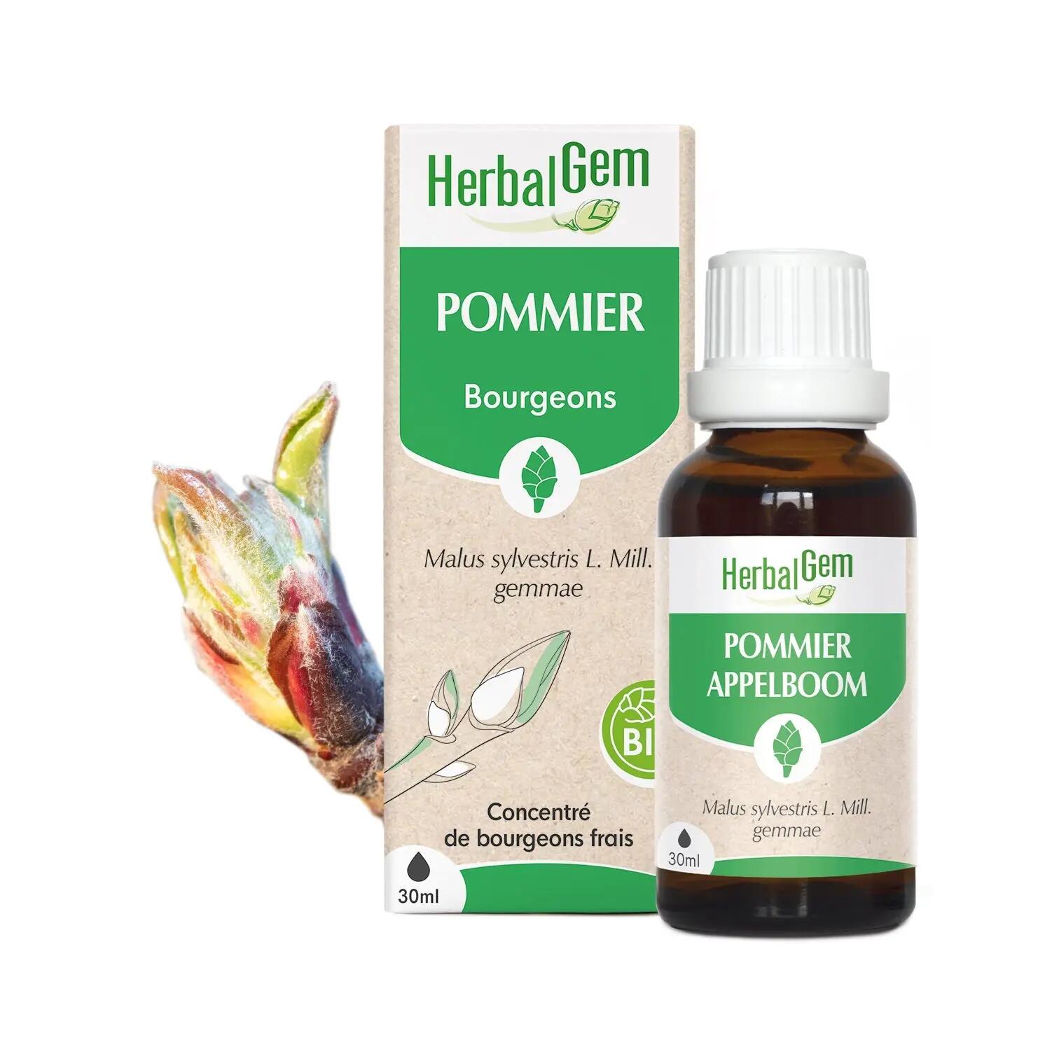 HERBALGEM picture
