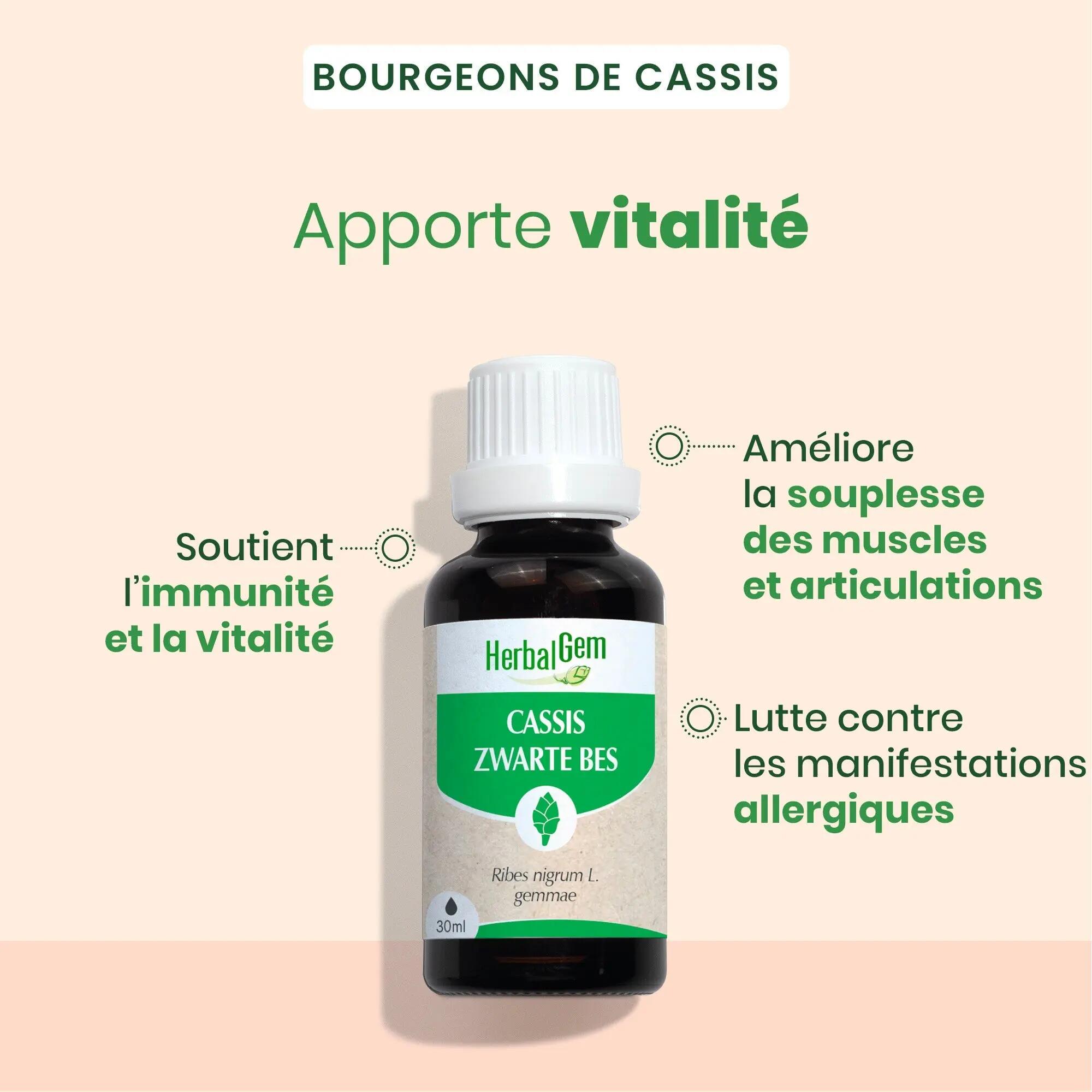 Bourgeon de cassis - Bien-être - Unisexe - Bio, spray 30 ml 5/5