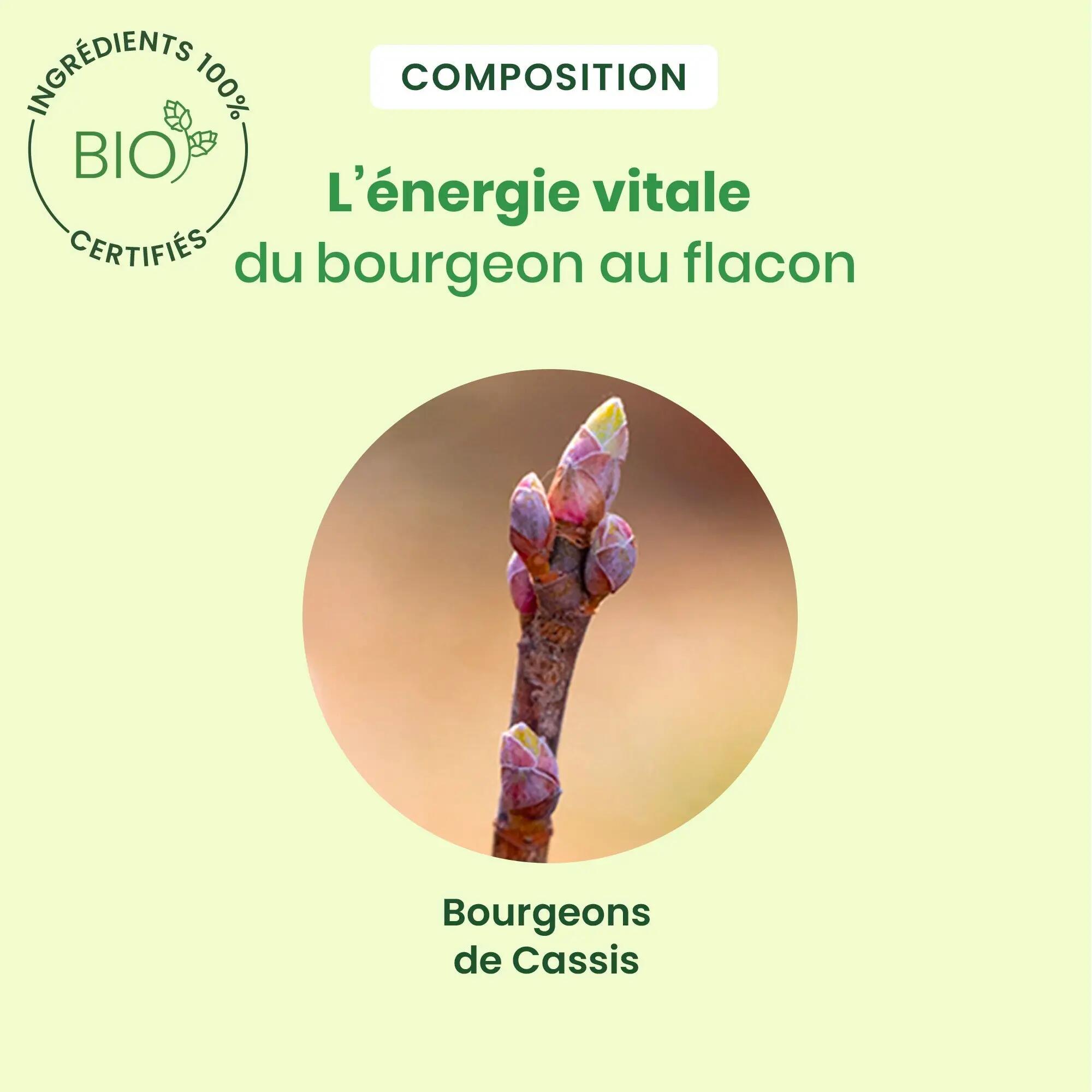 Bourgeon de cassis - Bien-être - Unisexe - Bio, spray 30 ml 3/5