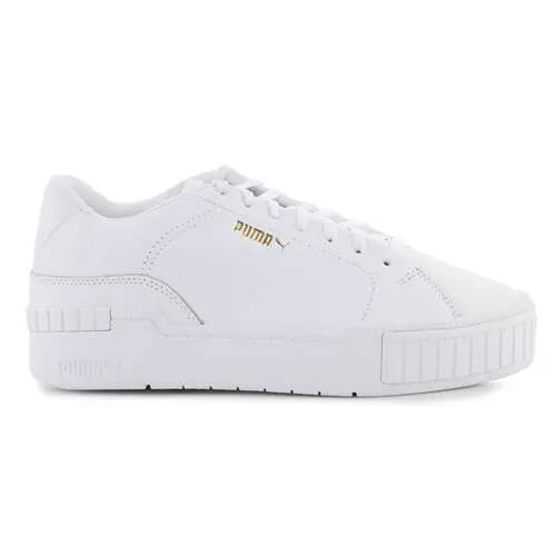 PUMA picture