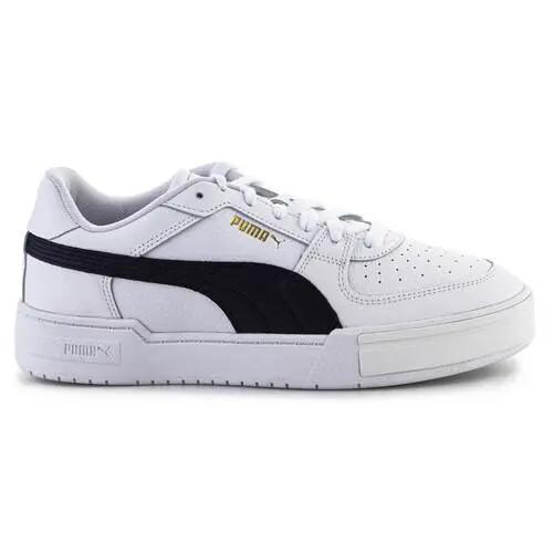 PUMA picture