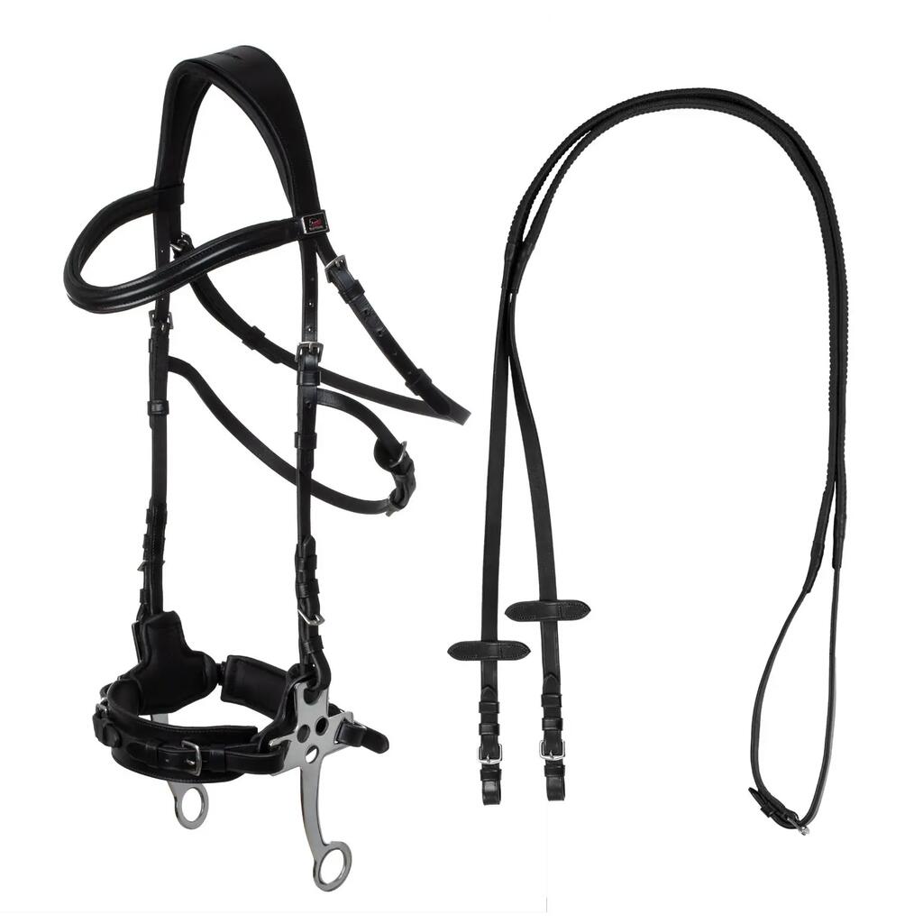 Bridle with hackamore