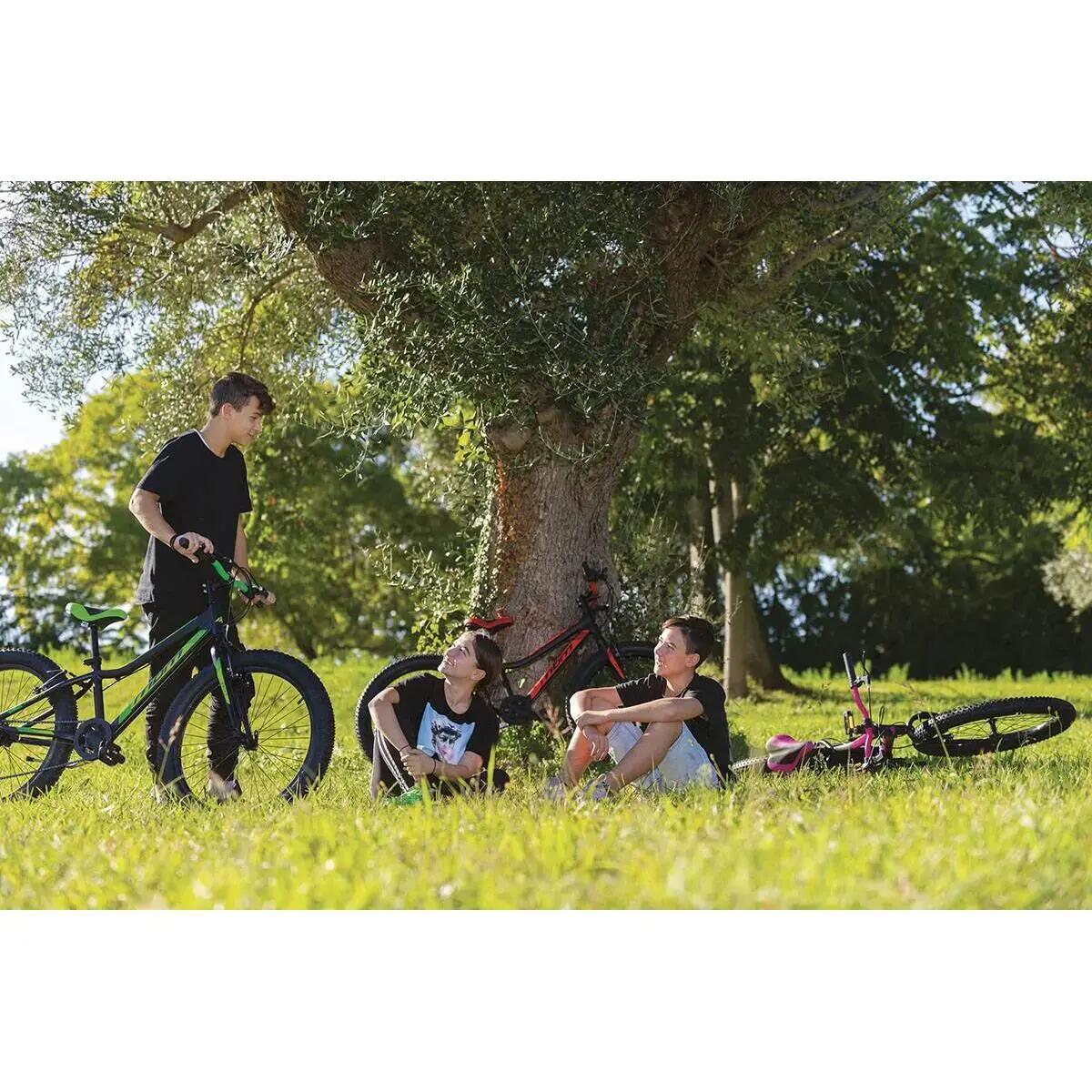 Bicicleta de montanha Mbm Drift Alloy Sh. Revo rs36|6S Sh. Ty 21 6V 2/2