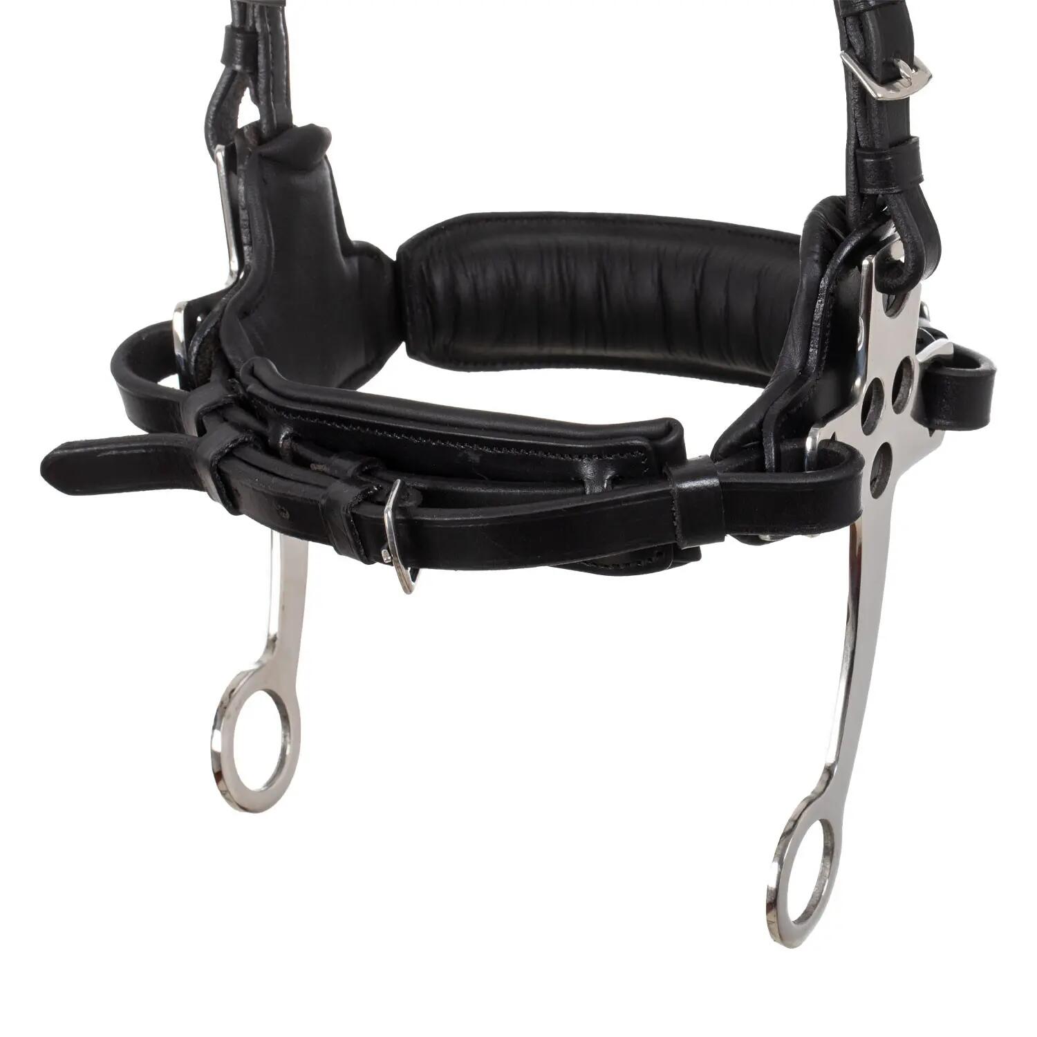 Bridão com hackamore 7/7