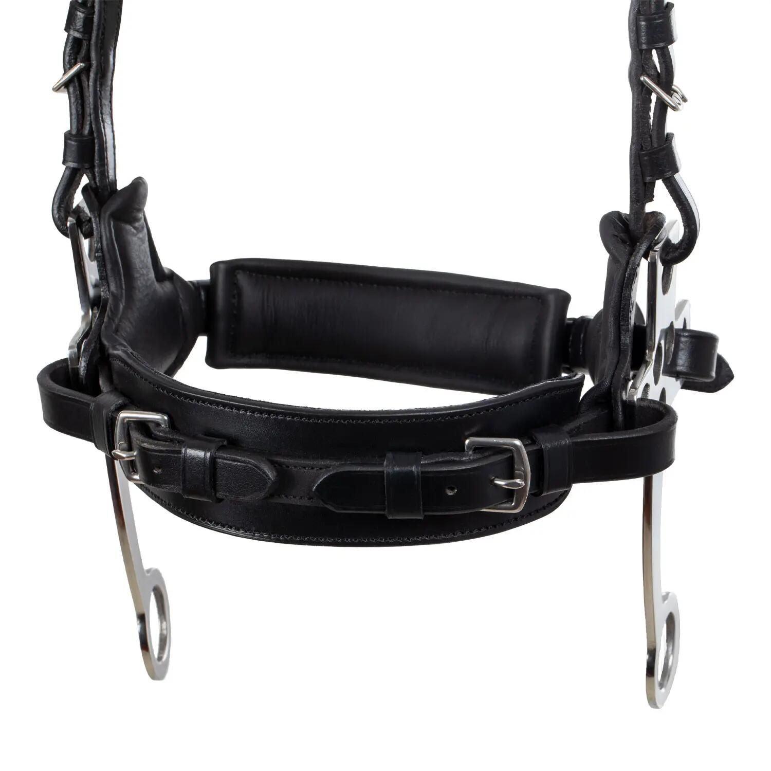 Bridão com hackamore 6/7