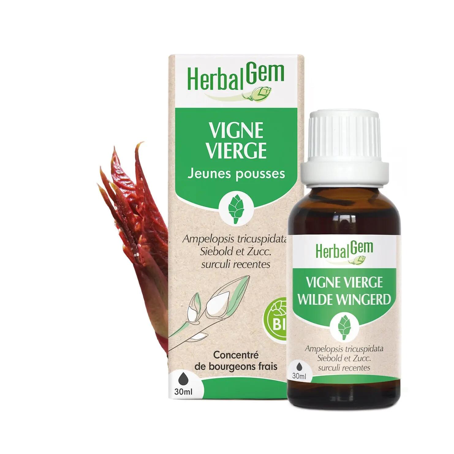 HERBALGEM picture