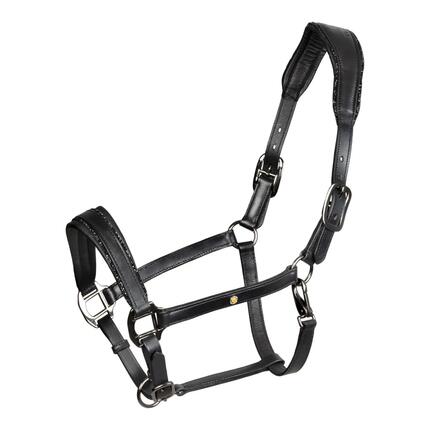 Caveçon en cuir avec piping pailleté