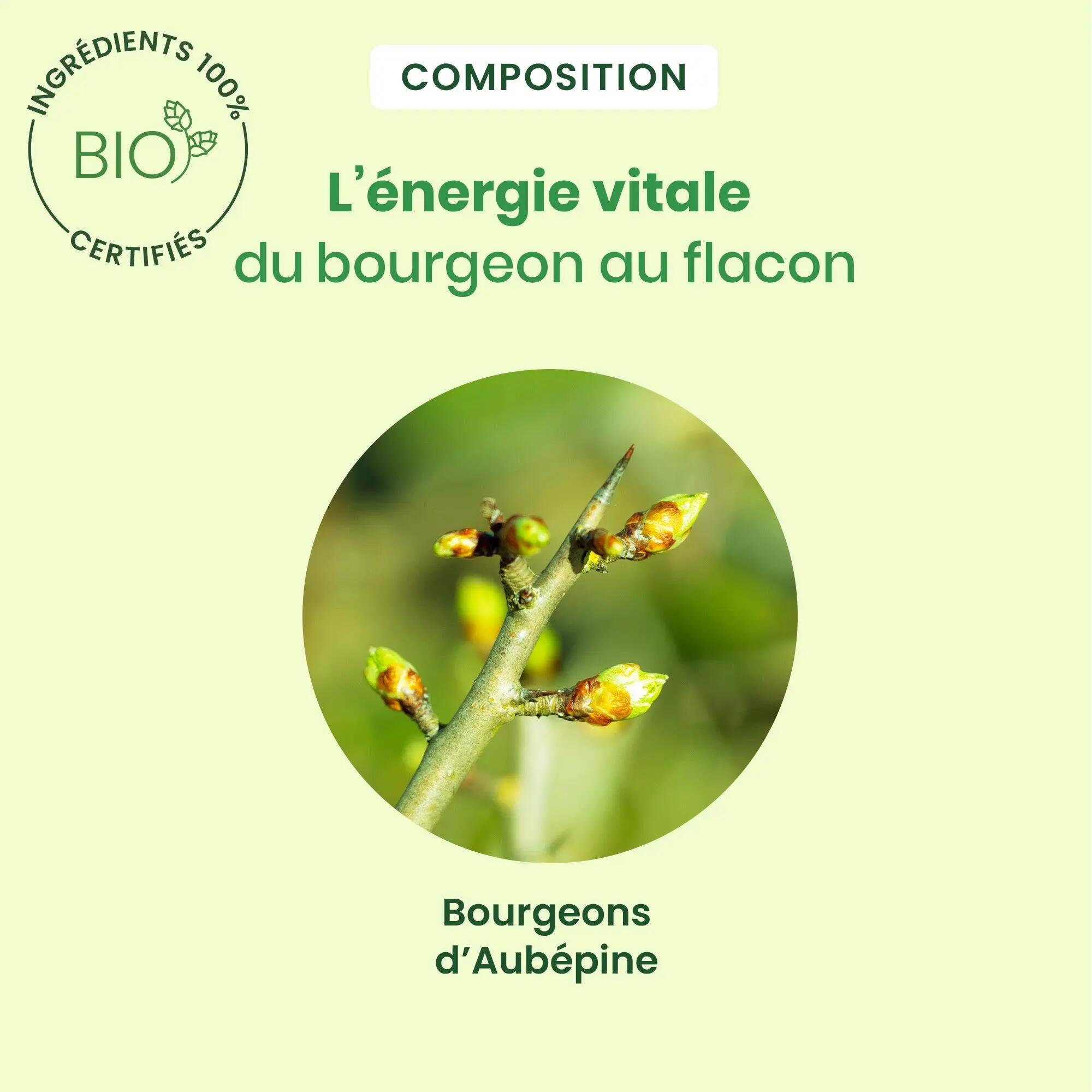 Bourgeon d’aubépine - spray - bio 3/5
