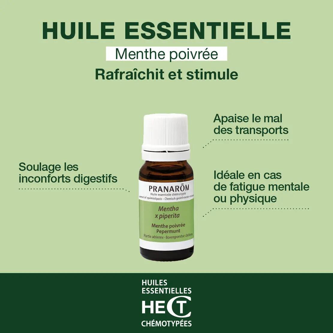 Huile essentielle - Menthe poivrée 10 ml - 100% chémotypée HECT 5/5