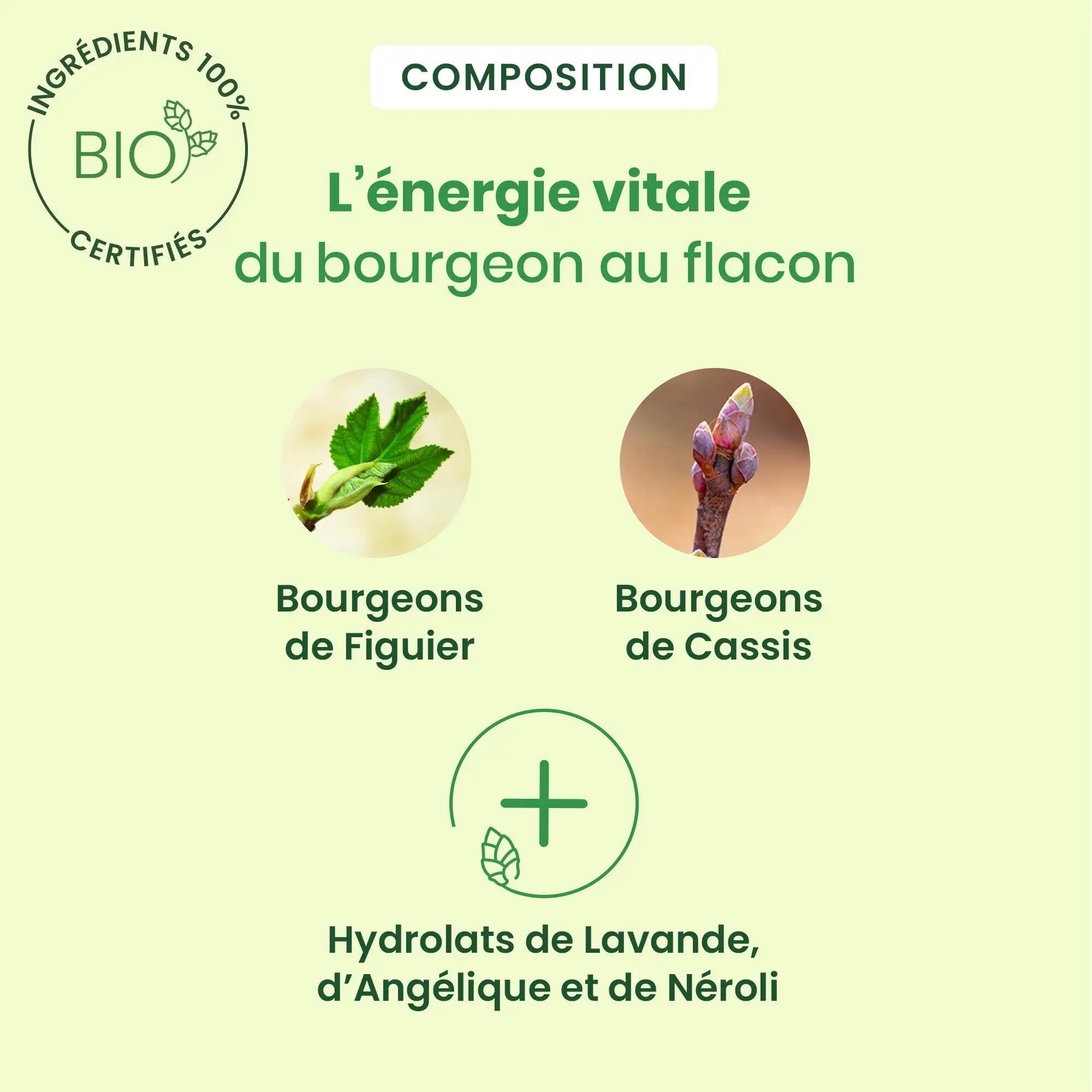 Spray anti-stress bio - Bourgeons figuier & cassis 3/5