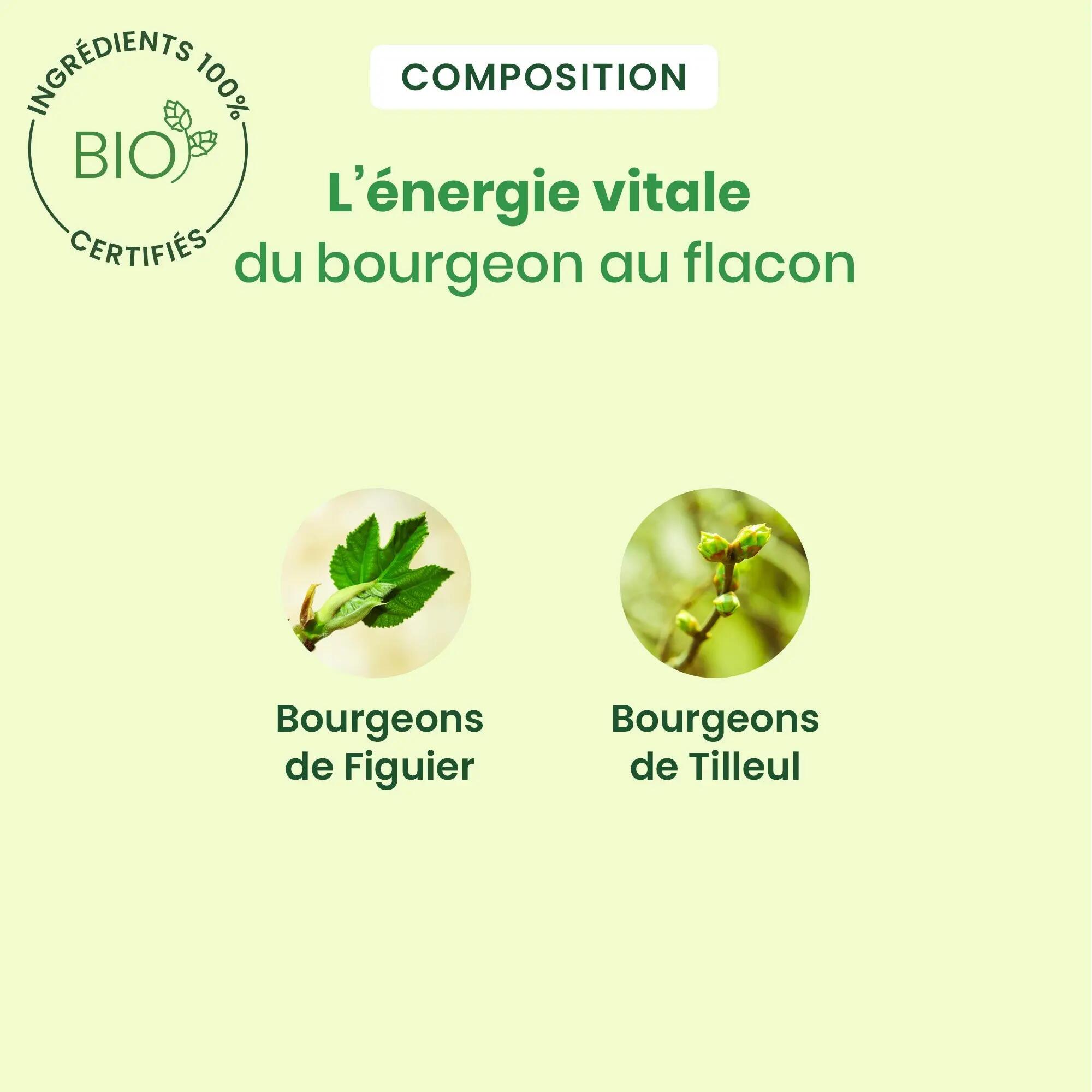 Complément sommeil - Enfants et adultes - Tilleul et Figuier bio 3/5