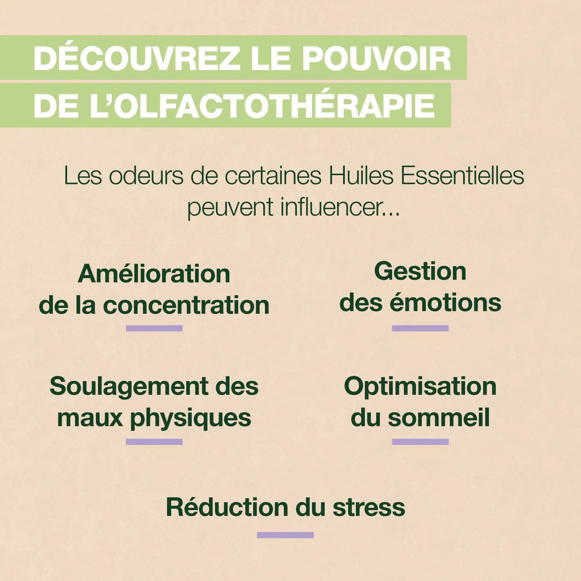 Roll-on olfactif - Bien-être - Mixte - Relaxant, lavande bio - Roll-on - Naturel 2/6