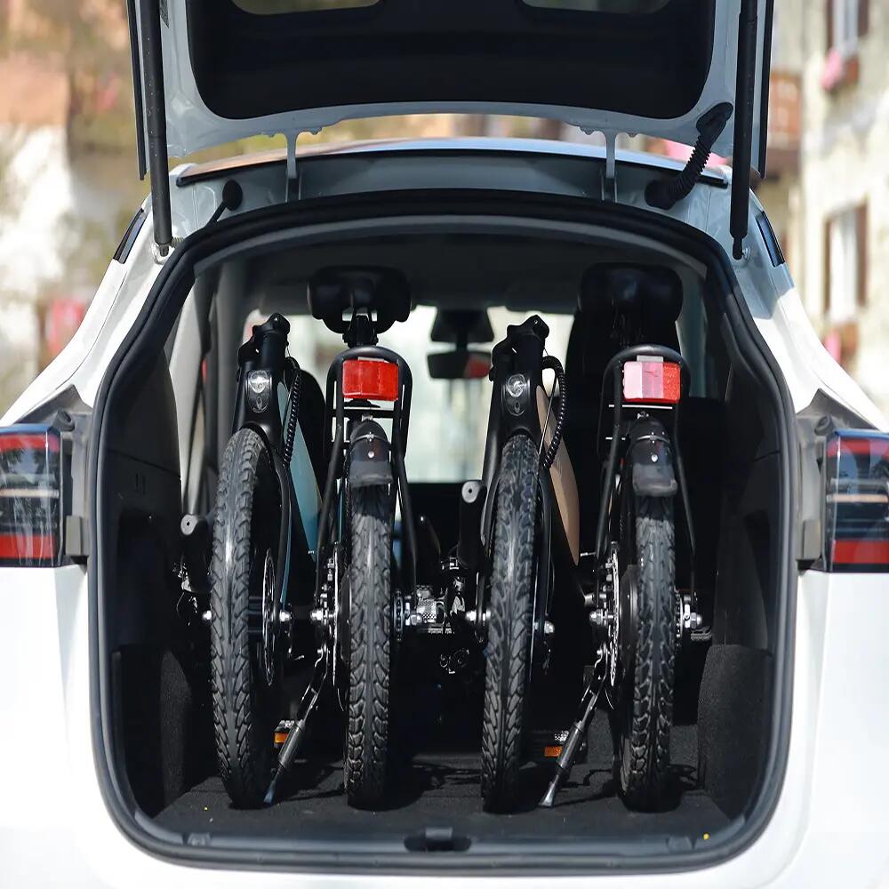 Bicicleta eléctrica plegable DYU C2, Batería 48V 7,5Ah, neumáticos 16 pulgadas 11/11