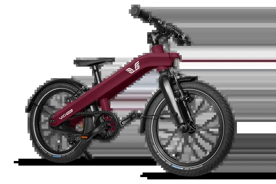 VICI BIKE picture