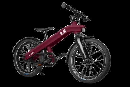 Ride vélo enfant 16 pouces - cadre aluminium léger - enfant 4-6 ans