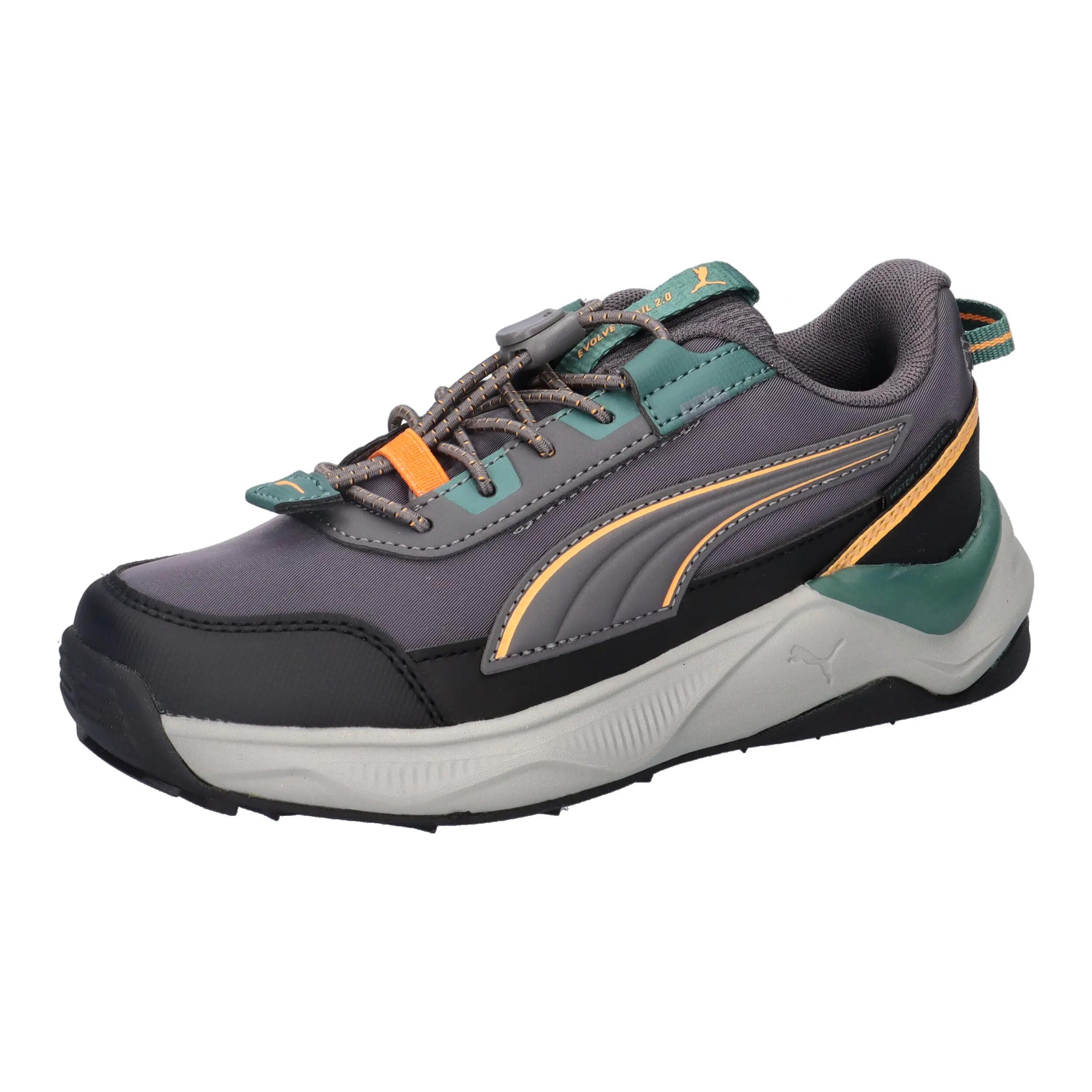 PUMA picture