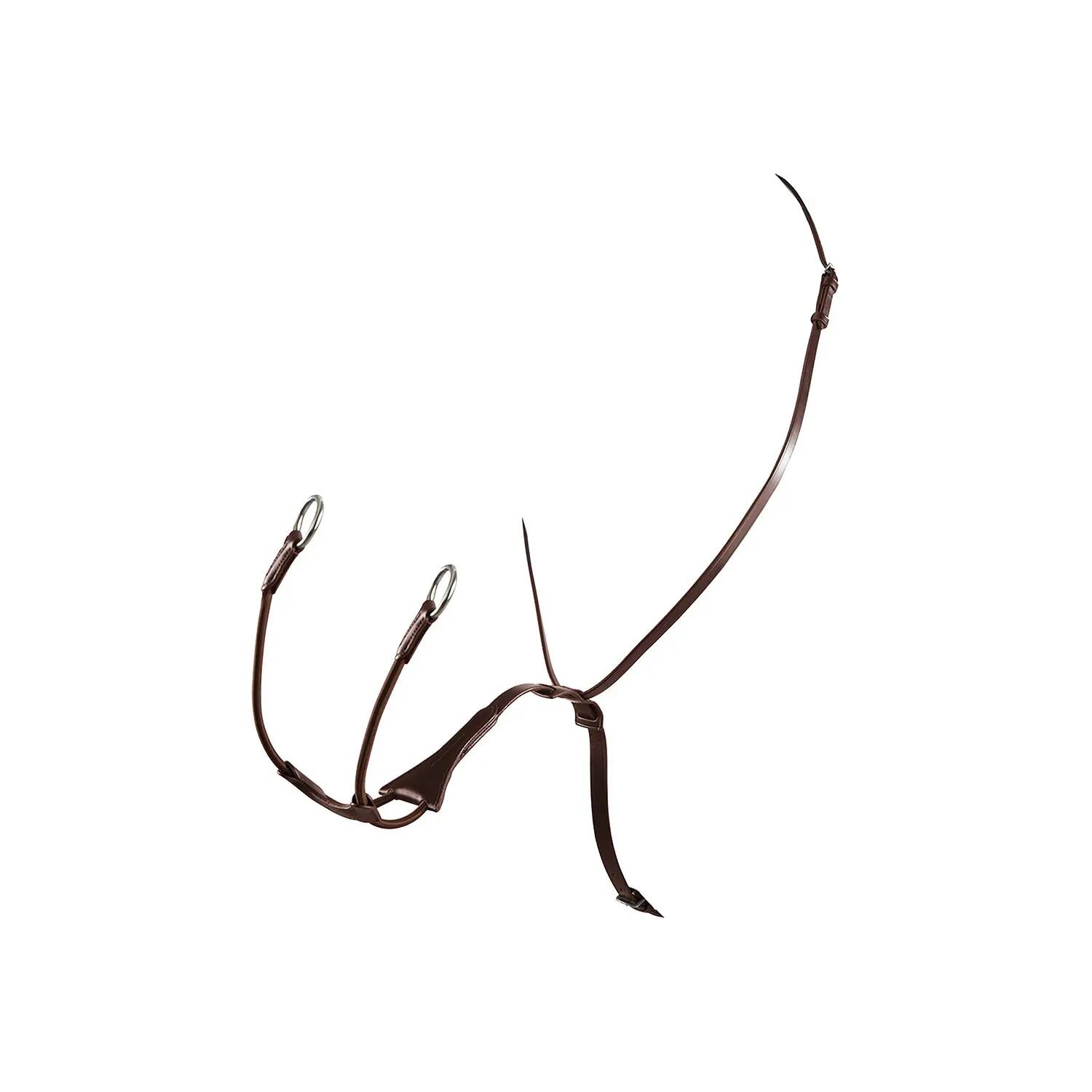 EQUESTRO picture