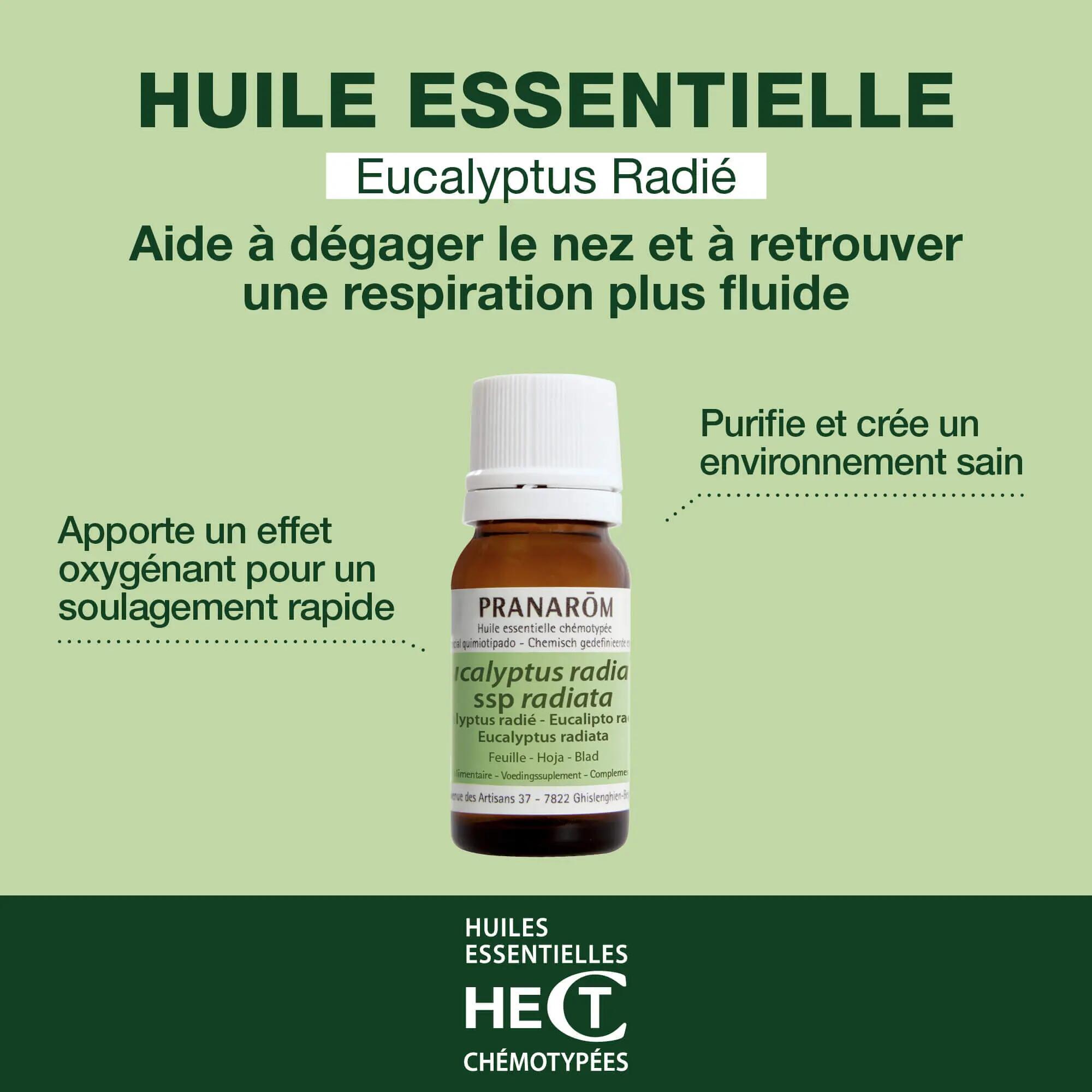 Huile essentielle d'Eucalyptus radié - Voies respiratoires - Purifiante - 10 ml 5/5