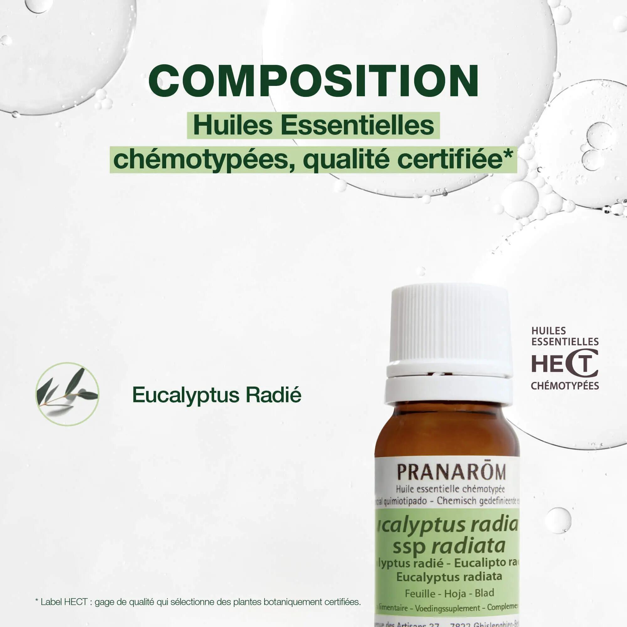 Huile essentielle d'Eucalyptus radié - Voies respiratoires - Purifiante - 10 ml 3/5