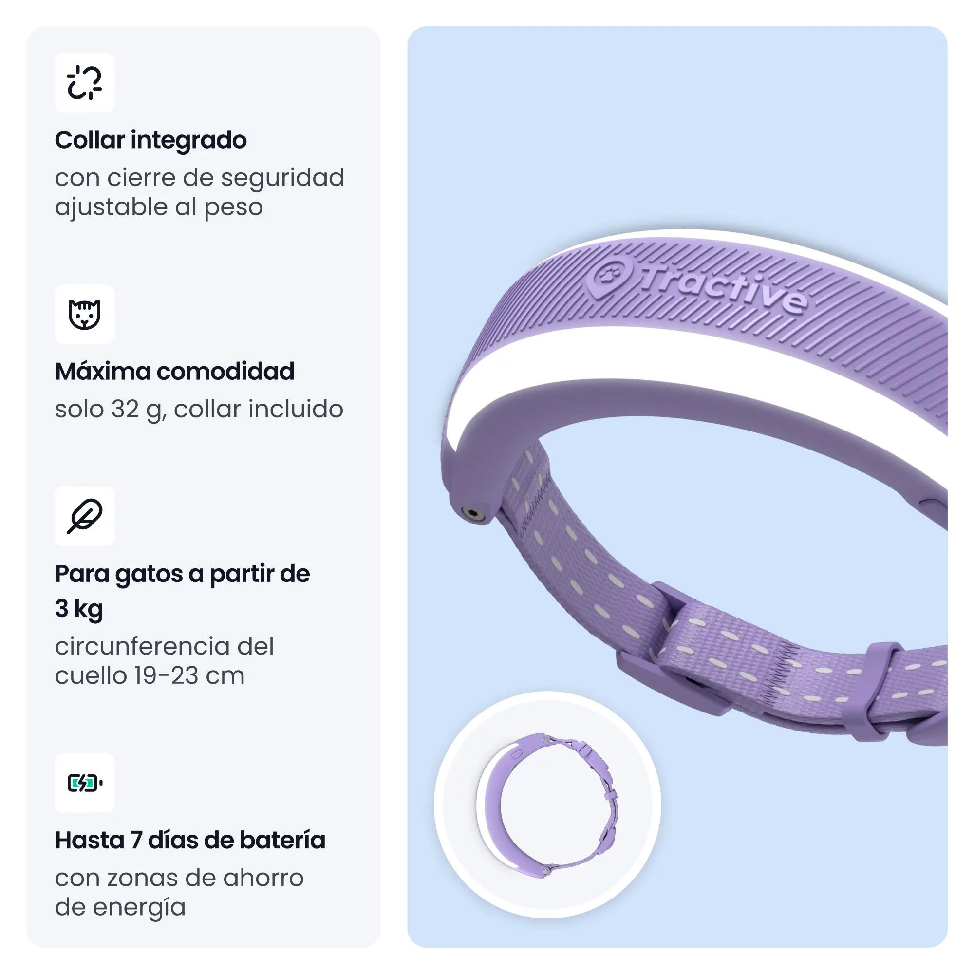 TRACTIVE6 CAT-GPS GATO LILA 2/3