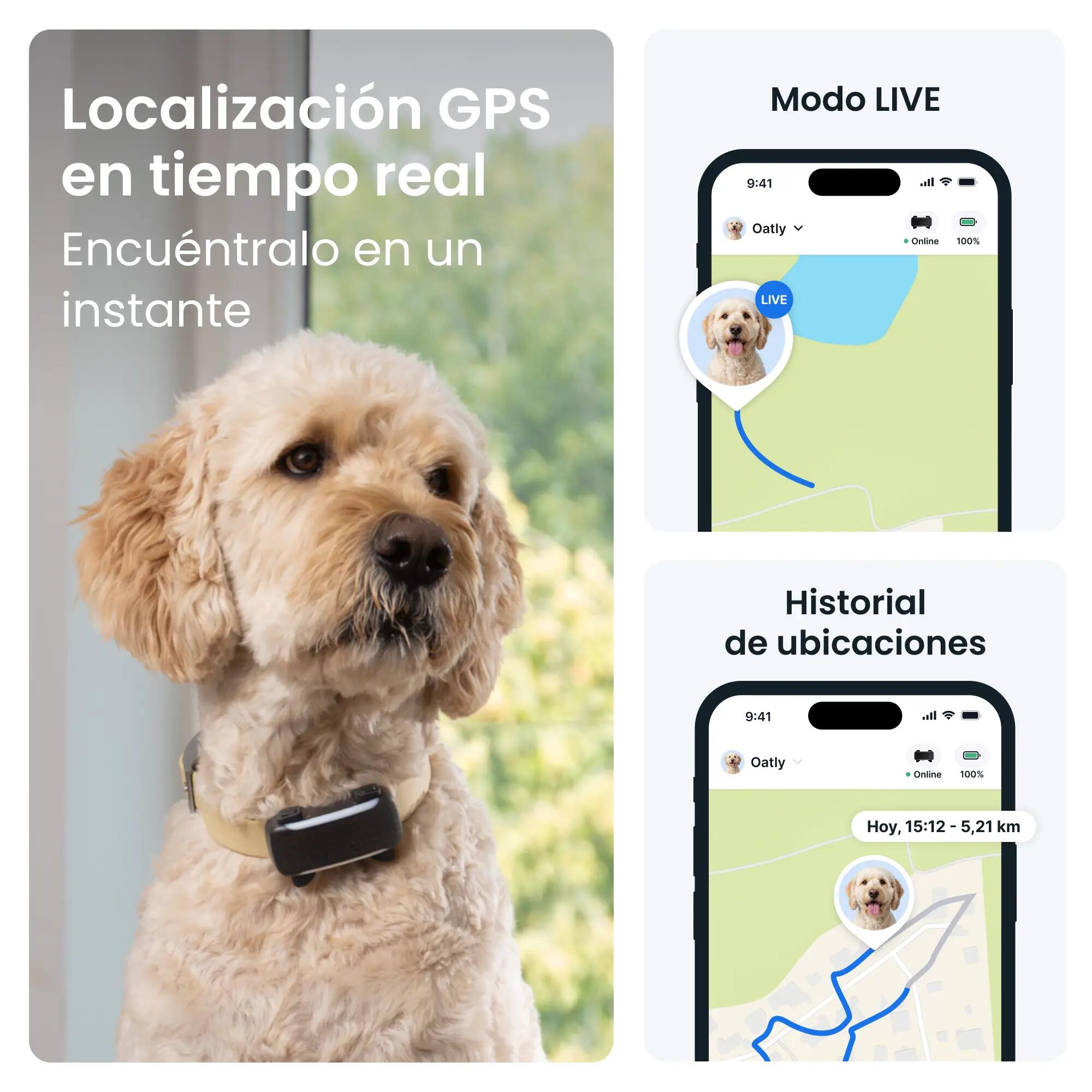 TRACTIVE6XL- GPS PERRO TALLA XL-NEGRO 2/3