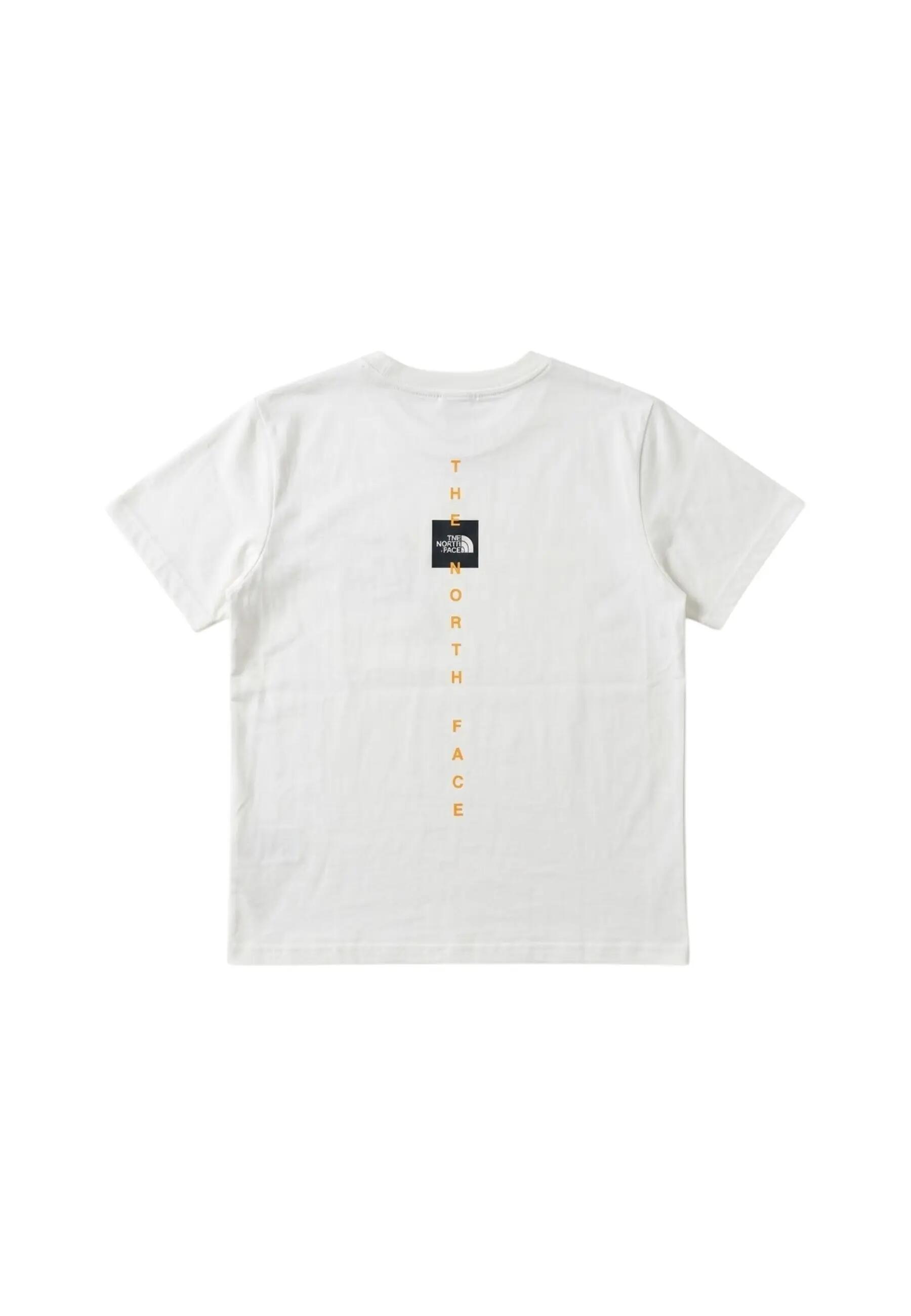 TEEN SIBLI REG COL FN4 2/3
