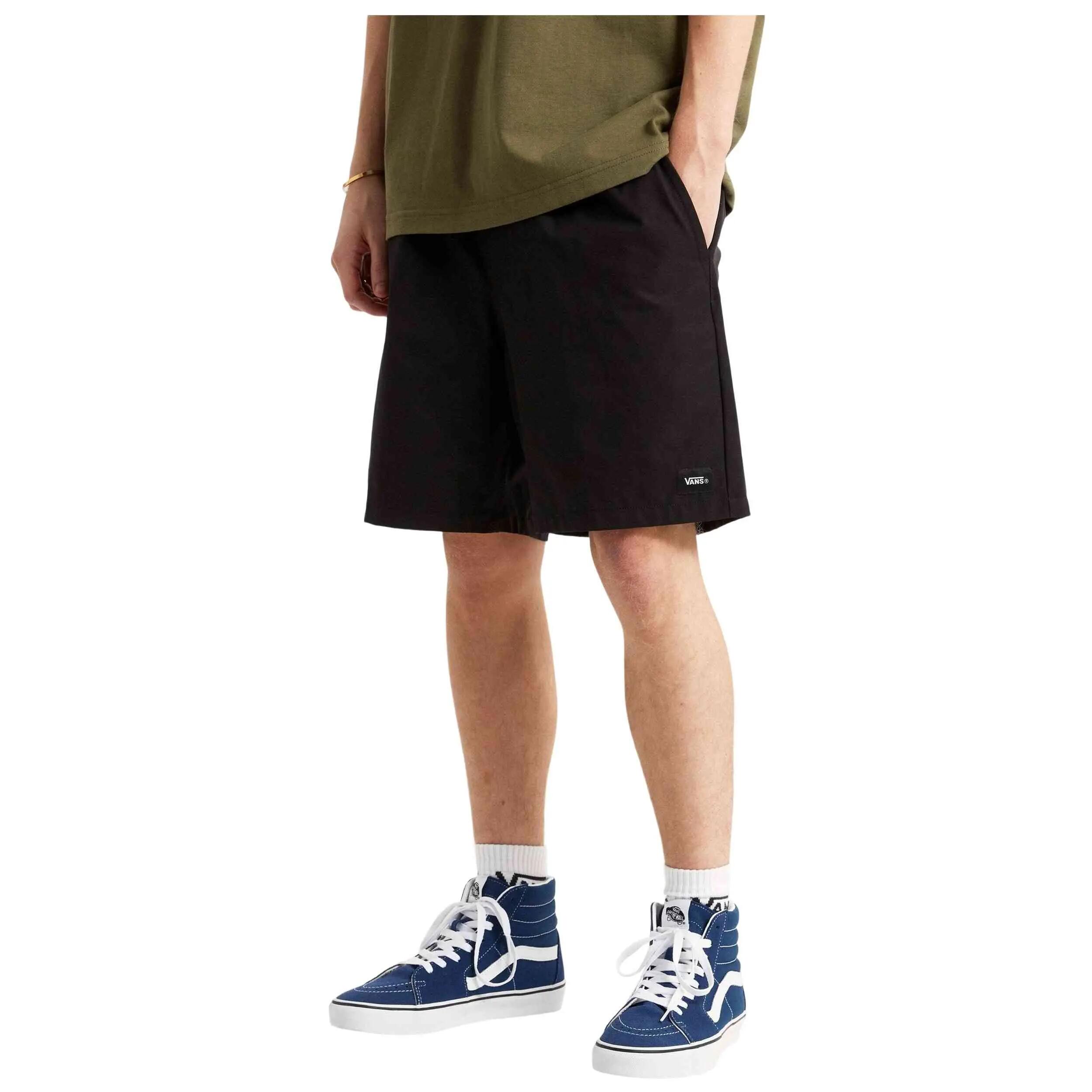 VANS picture