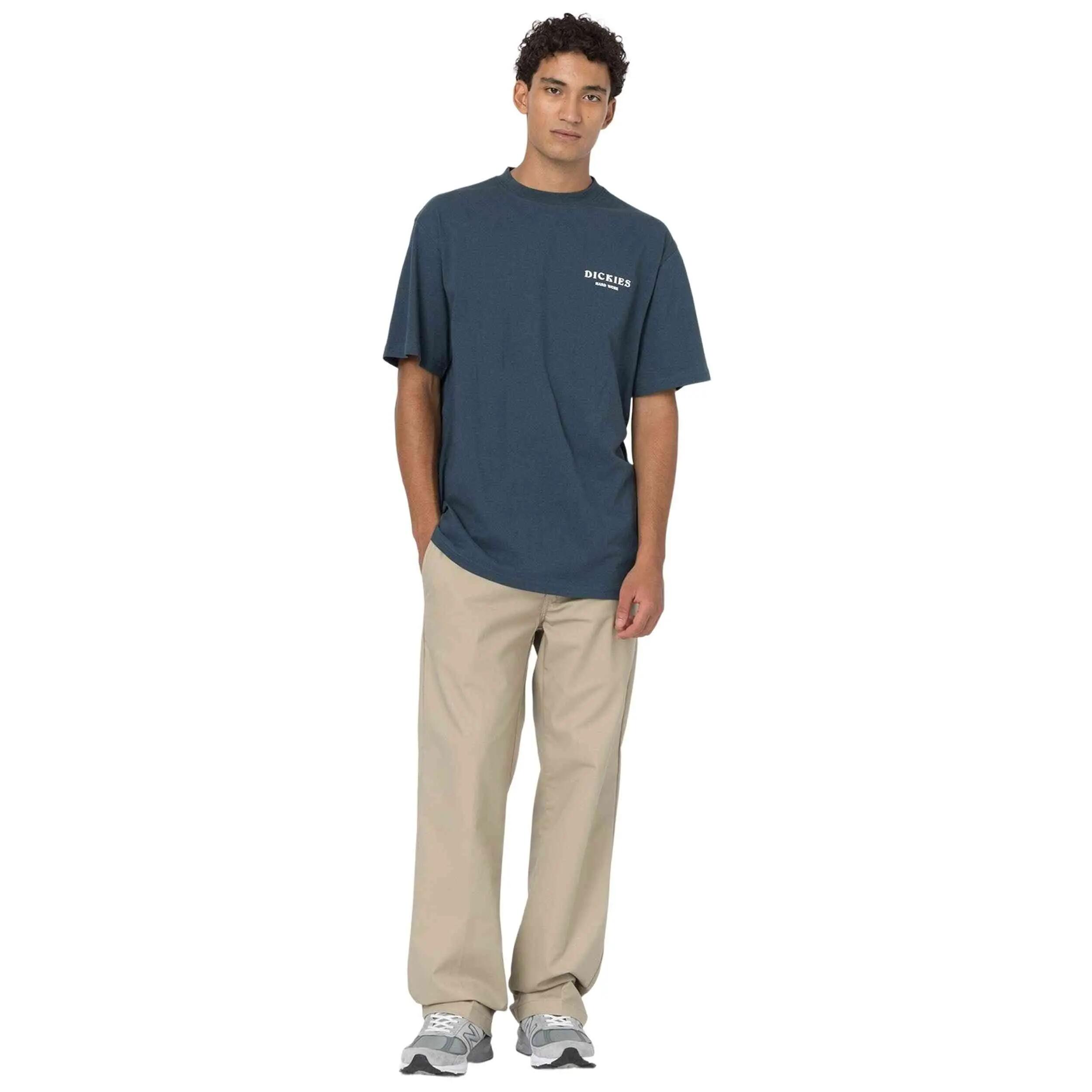 Kurze hose Dickies Modell DK0A4XJCKHK32-BEIGE für männer 3/5