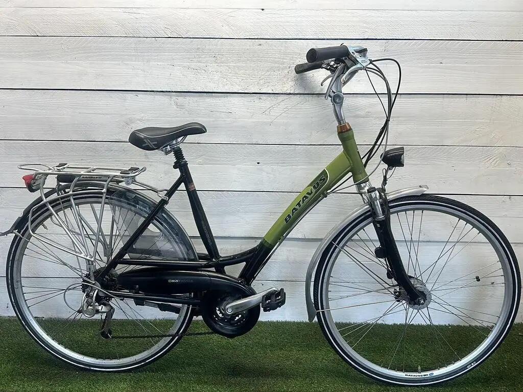 BATAVUS picture