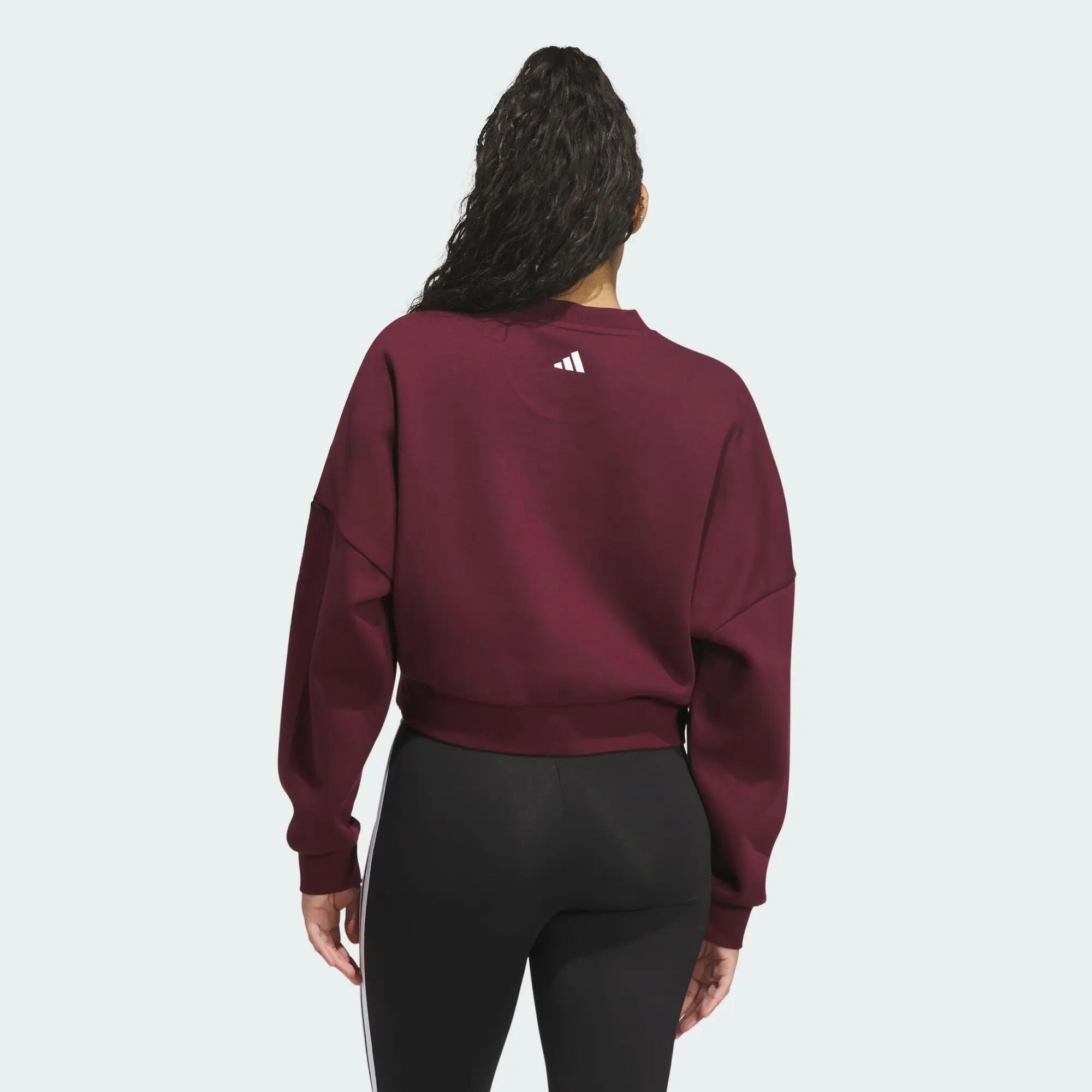 CHENILLE LOGO GRAPHIC SWEATSHIRT 3/4