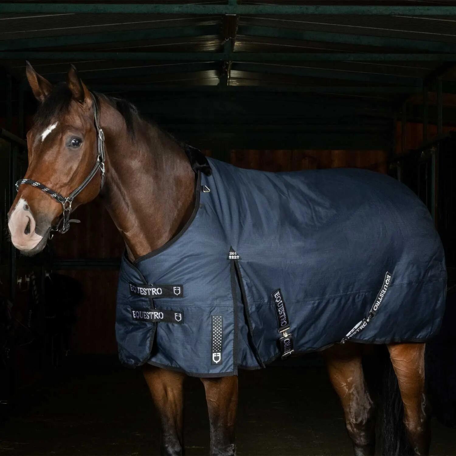 EQUESTRO picture
