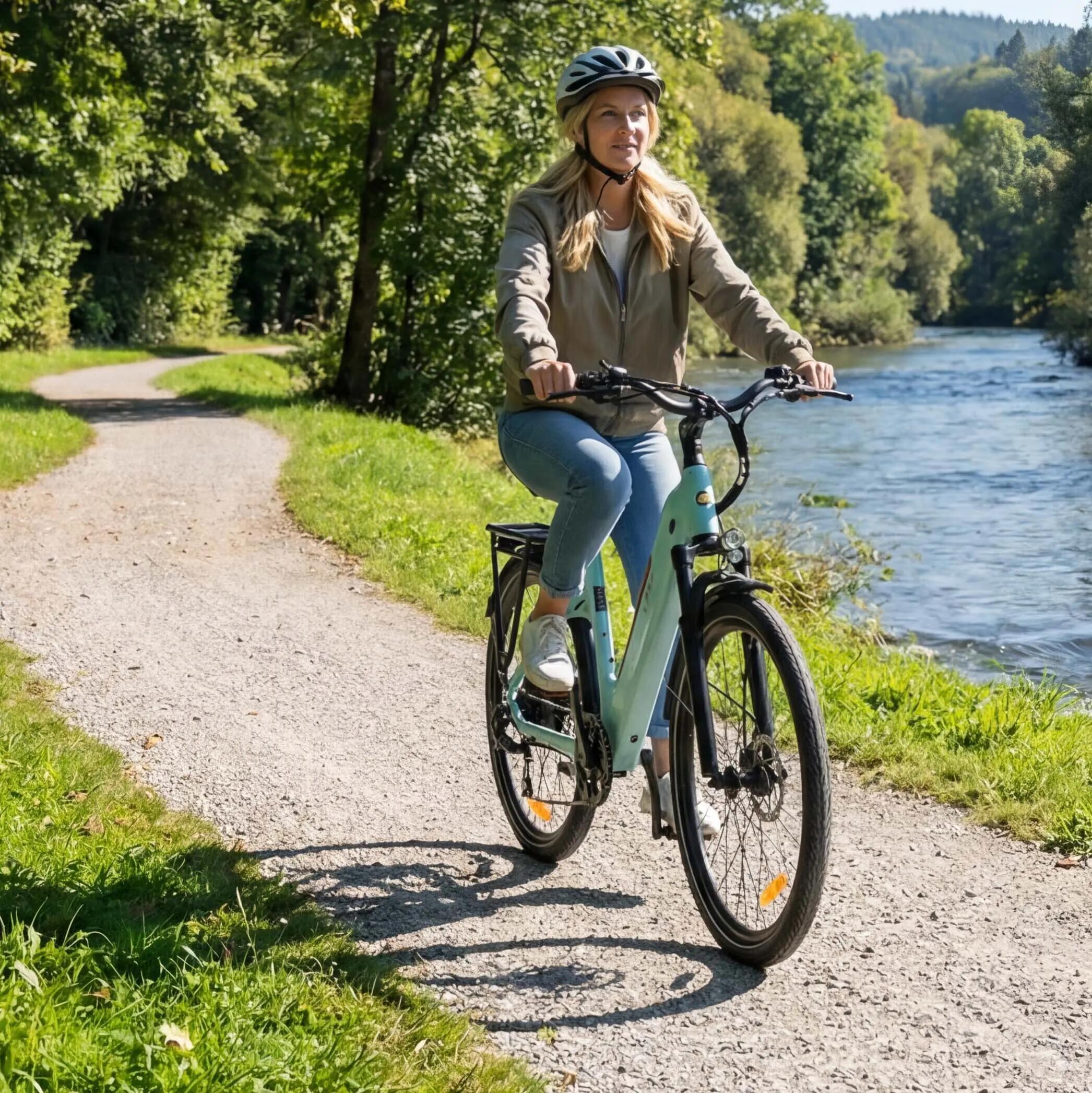 Volwassen K608 elektrische fiets | 36V 20Ah accu, 28×2,0” band. 5/8