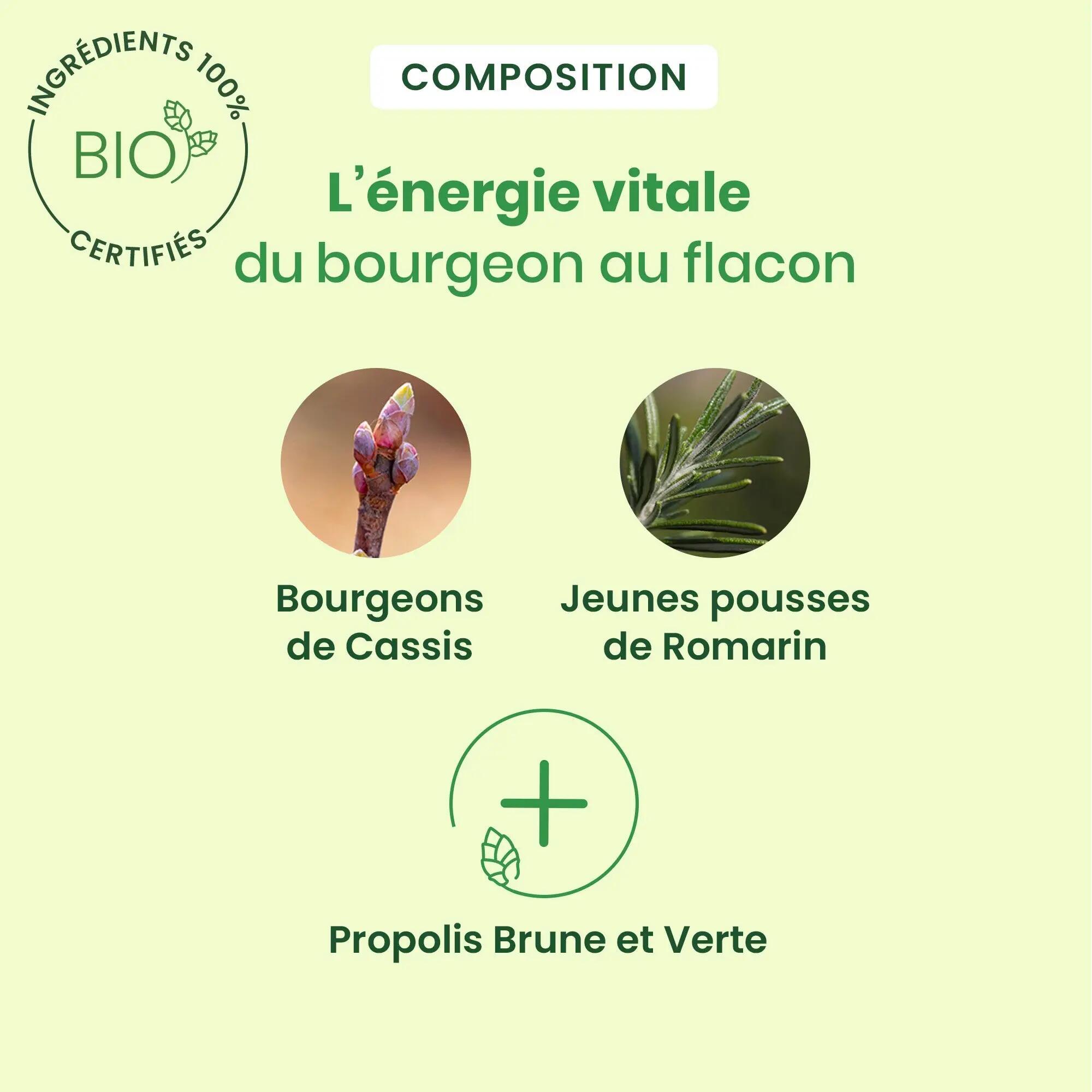 Complément bio anti-allergie - Cassis, romarin, propolis - 30 ml 3/4