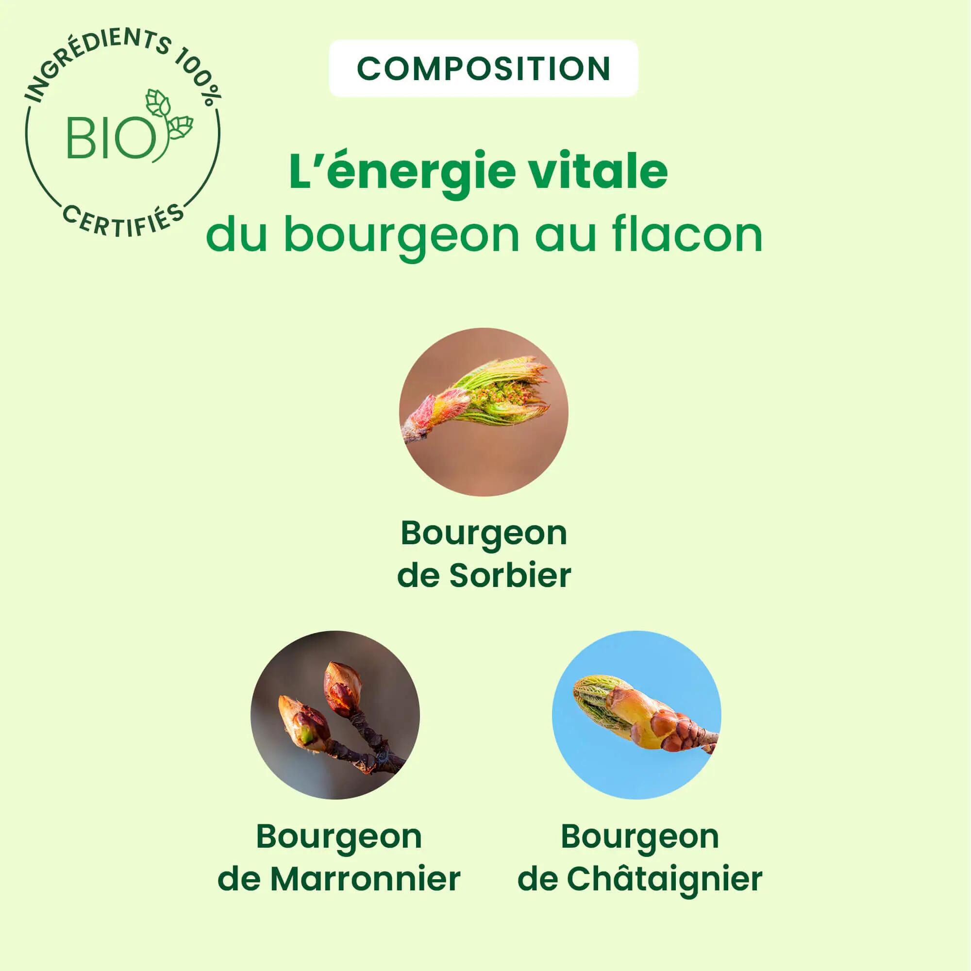 Spray jambes lourdes - Macérats de bourgeons bio - 30 ml 3/5