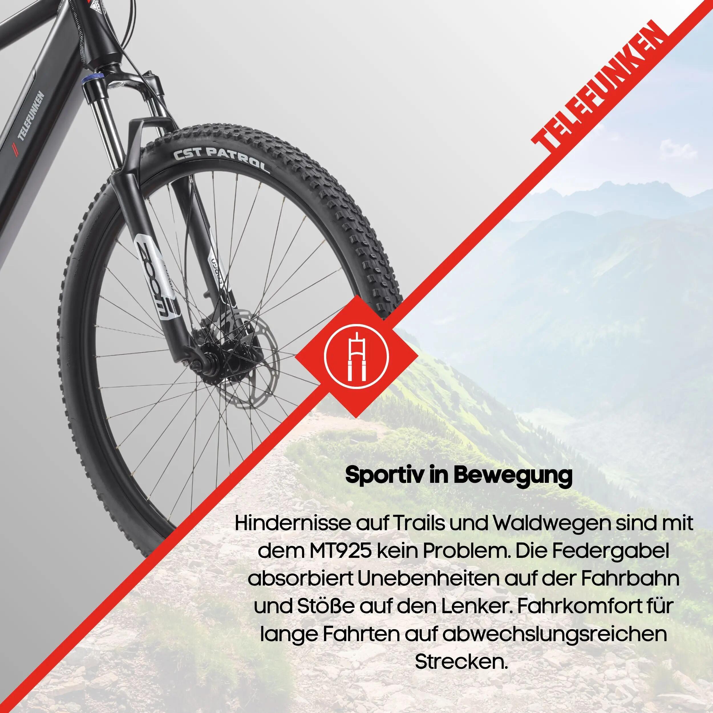E-Bike MT925 29 Zoll 9-Gang Pedelec Mountainbike E-MTB Elektrofahrrad Hardtail 7/7