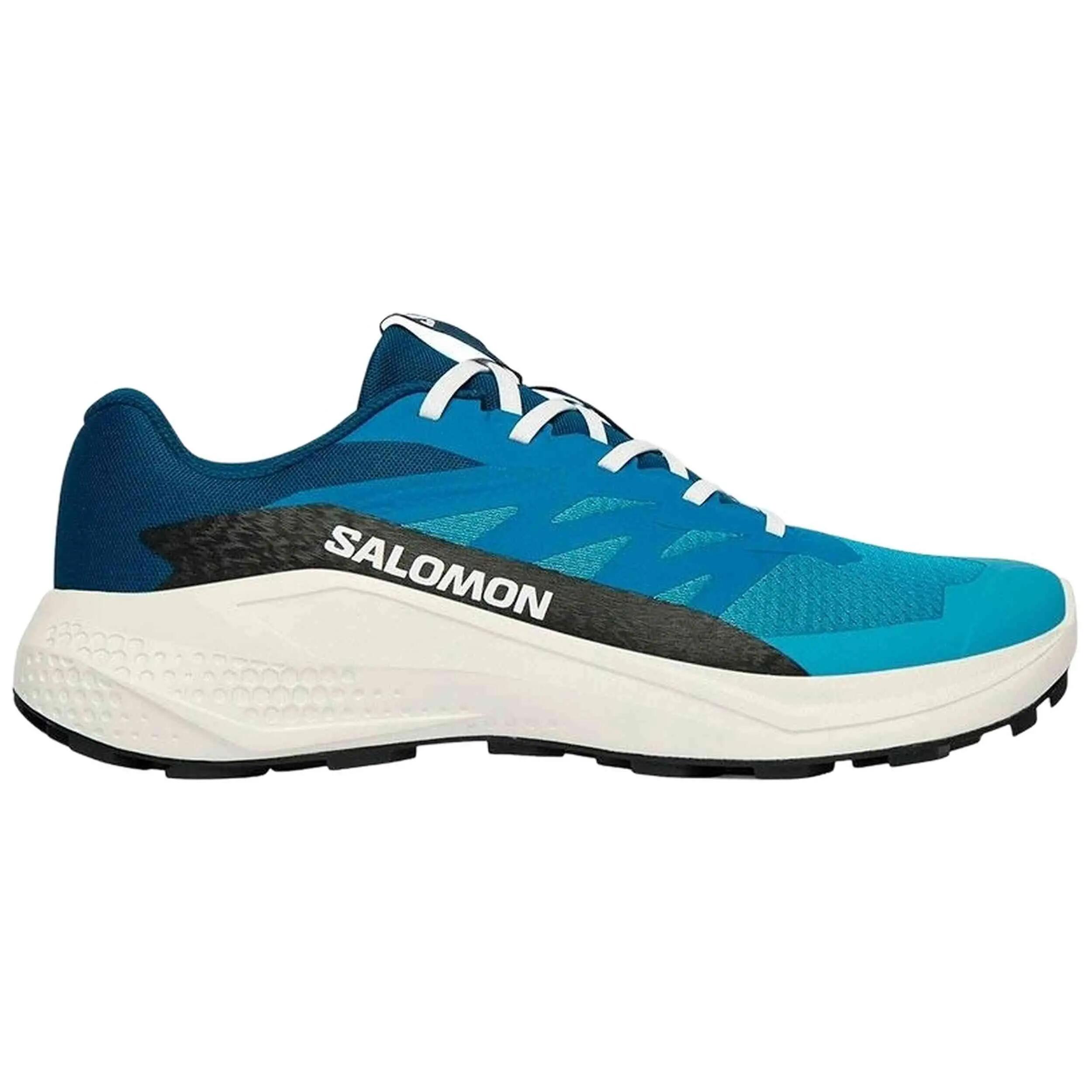 SALOMON picture