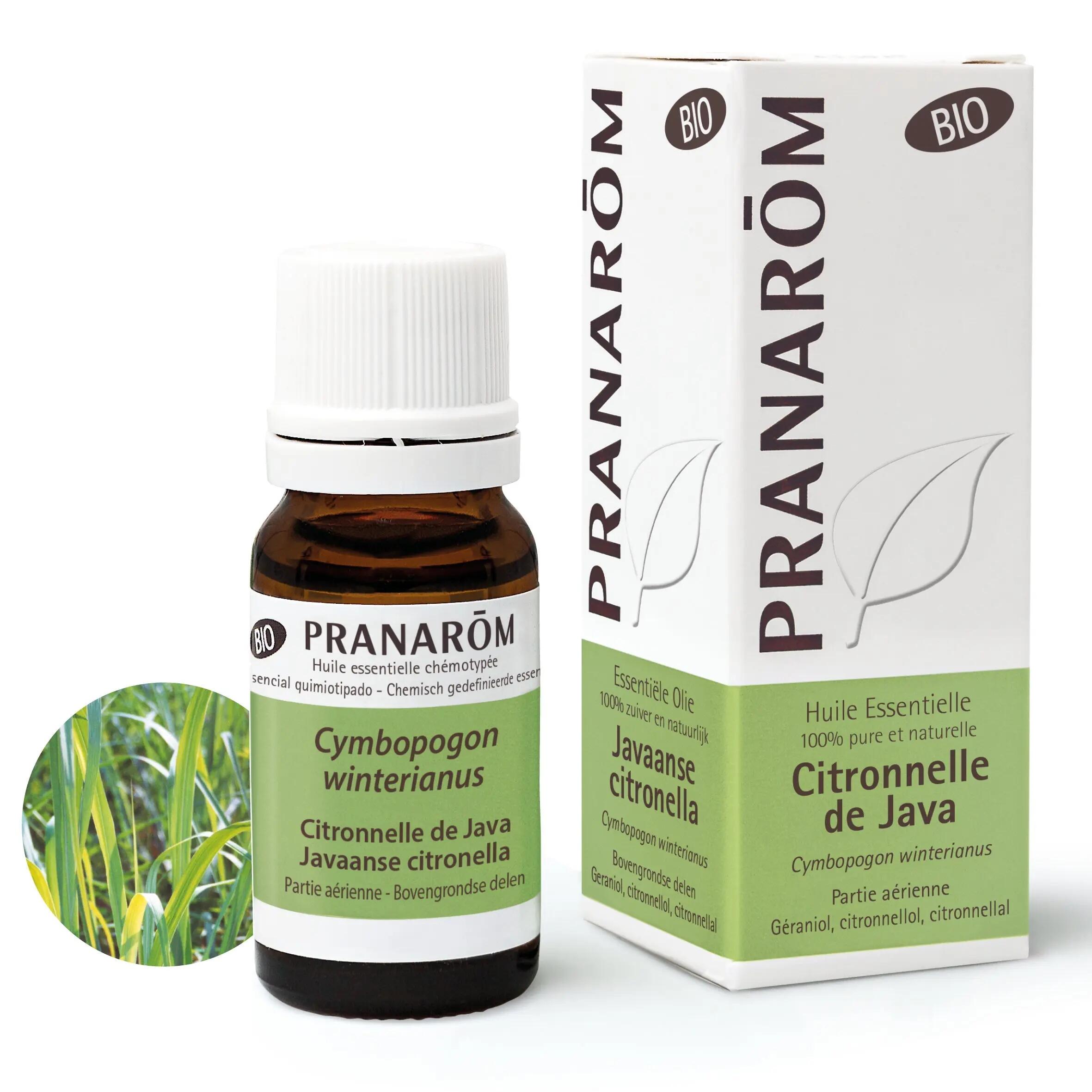 PRANARÔM picture