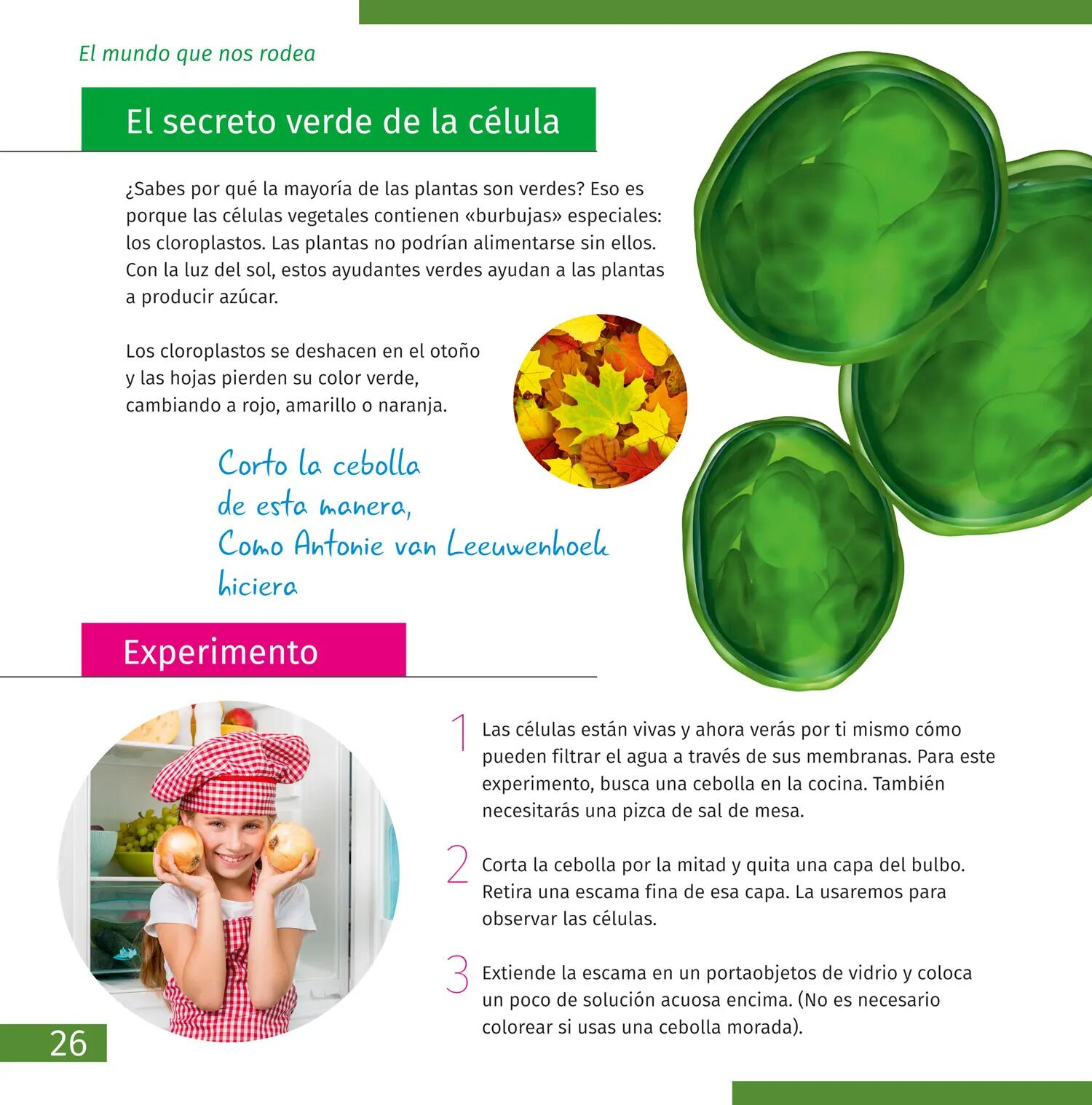 Libro educativo - Observación de la naturaleza - LEVENHUK - negro 3/6