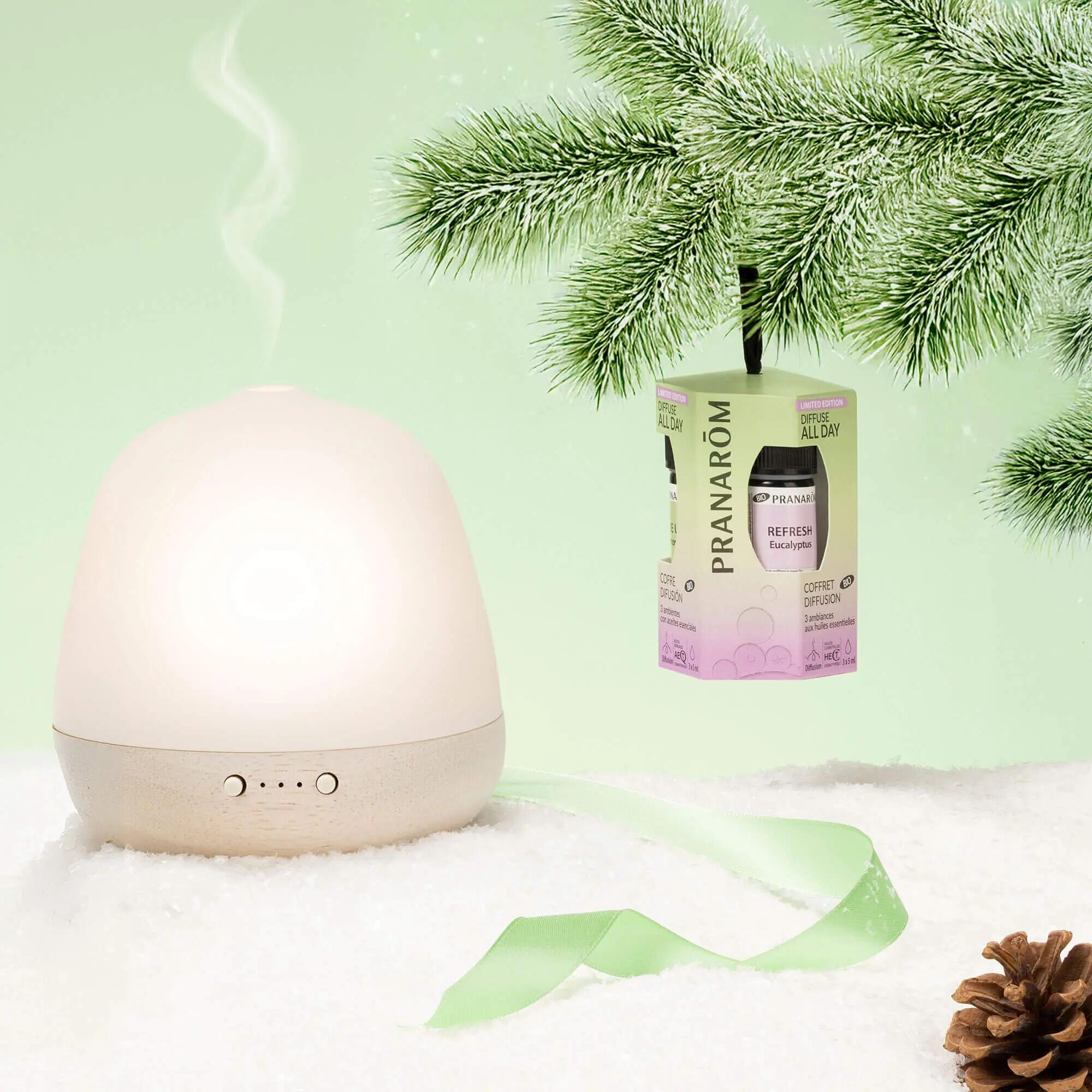 Coffret Diffuse All Day - Coffret huiles essentielles bio 3x5 ml 2/3