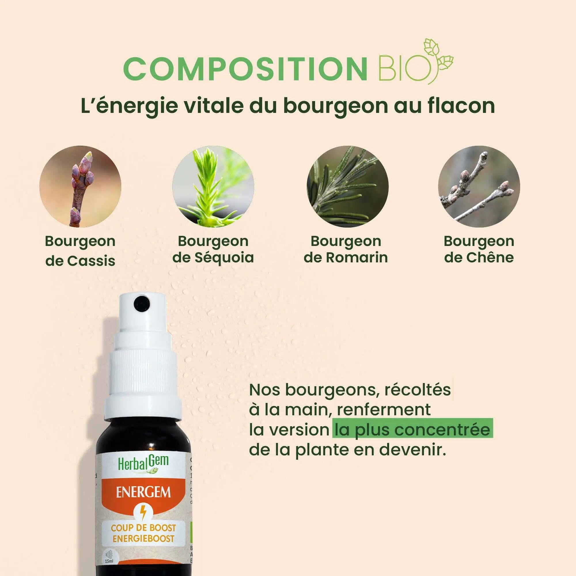 Spray buccal - Énergie - Bio - 4 bourgeons frais 4/5