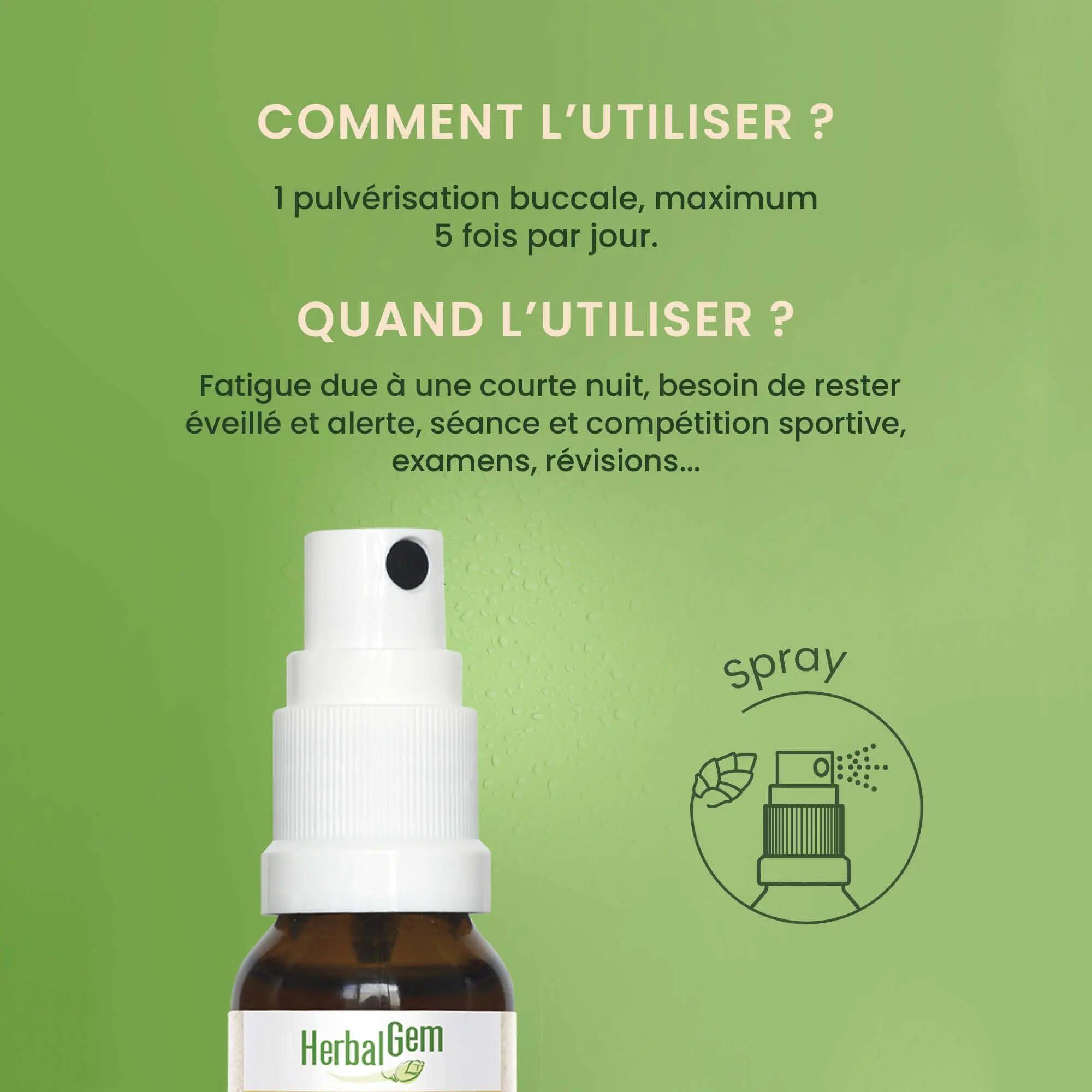 Spray buccal - Énergie - Bio - 4 bourgeons frais 3/5