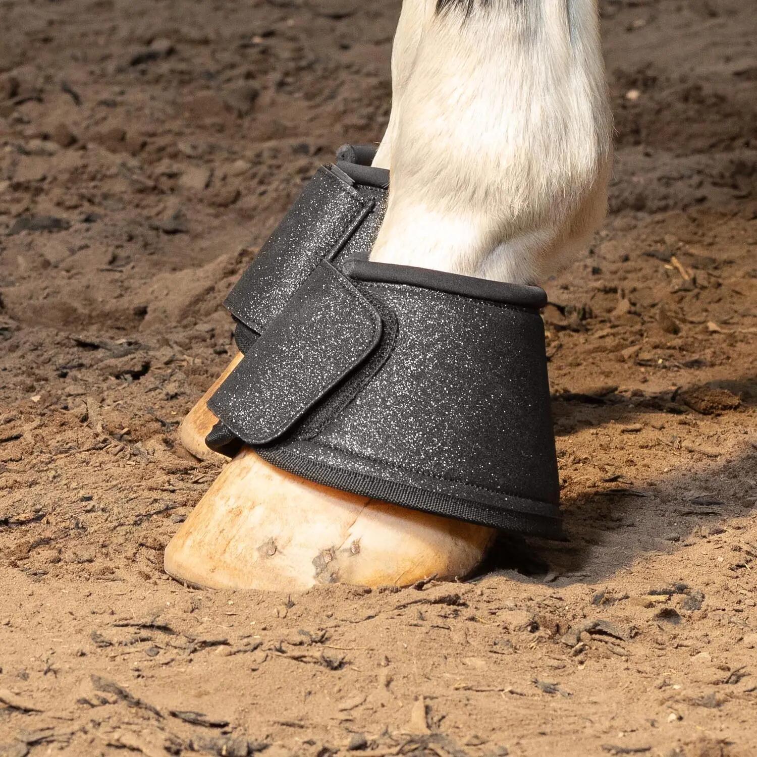 HARRYS HORSE picture