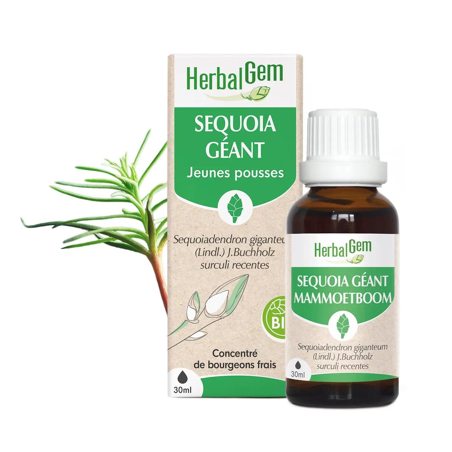 HERBALGEM picture