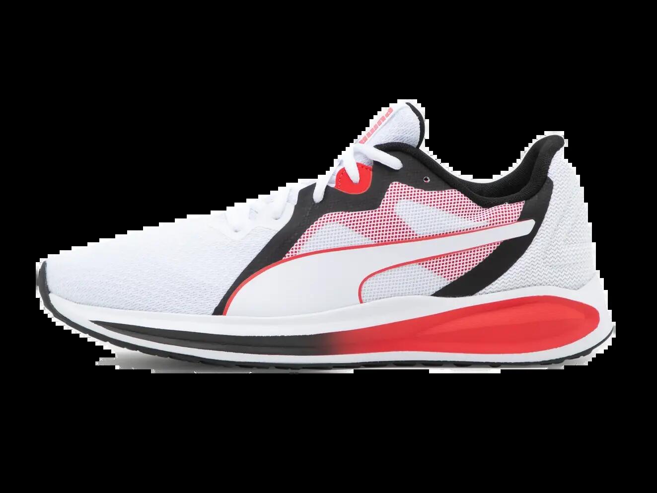 PUMA picture