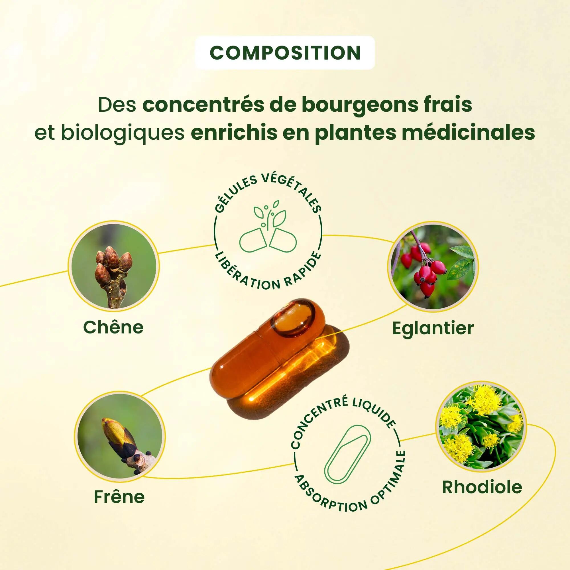 Complément Moral+ - 30 gélules - Bourgeons bio et rhodiole 4/5