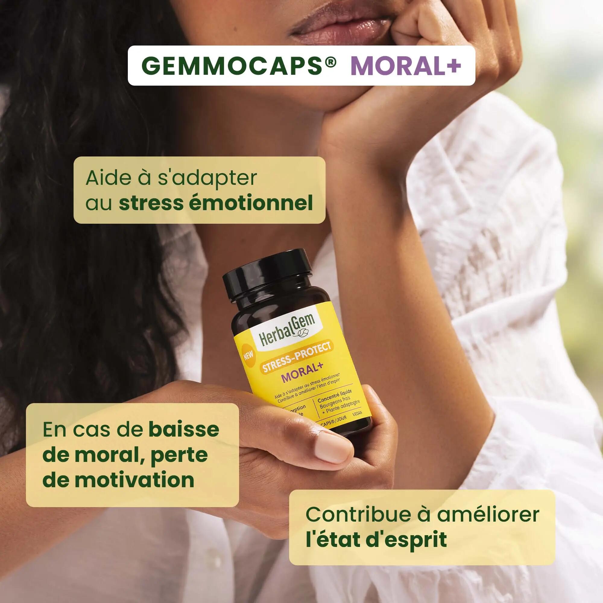 Complément Moral+ - 30 gélules - Bourgeons bio et rhodiole 2/5