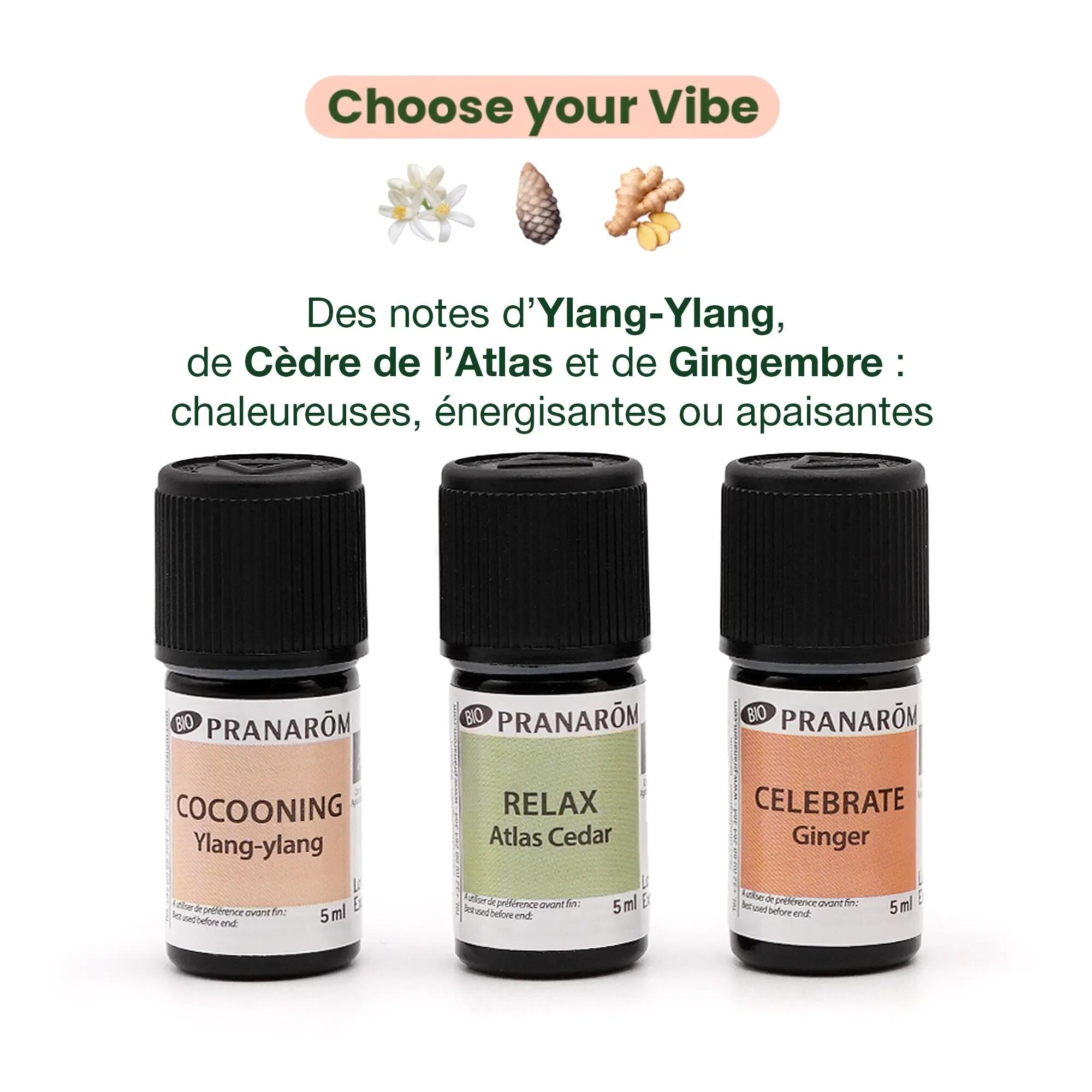 Coffret 3 synergies d'huiles essentielles bio - Choose Your Vibe 3/3